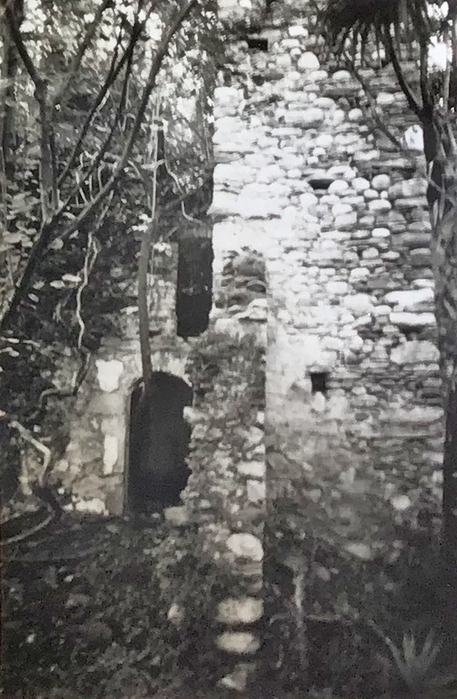 Chiesa di S. Pietro Martire (chiesa, oratorio) - Brezzo di Bedero (VA) 