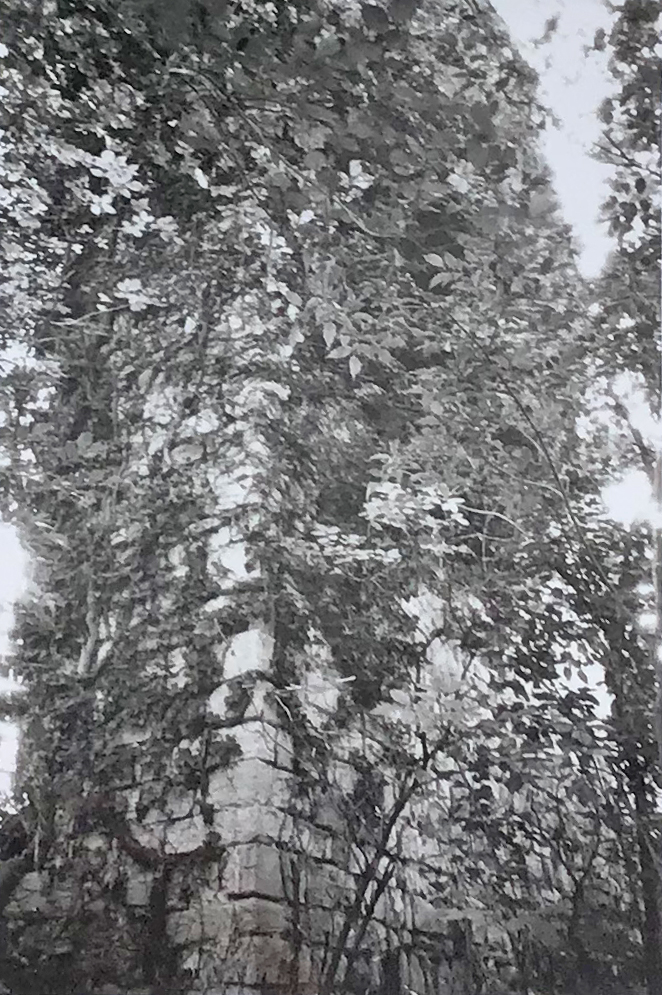 torre (ruderi) - Cocquio-Trevisago (VA) 