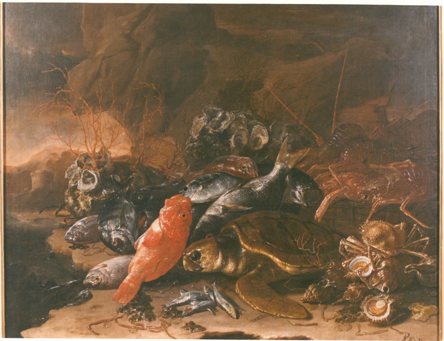 natura morta con pesci, crostacei e testuggine (dipinto) di Recco Giuseppe (sec. XVII)