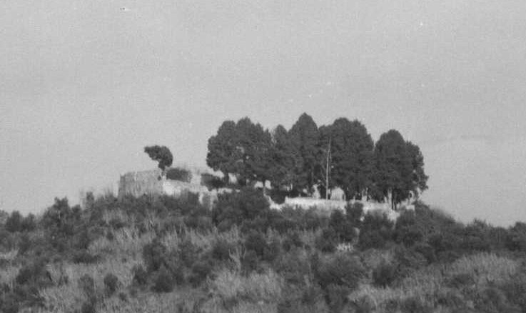 Ruderi del castello medioevale (castello, medioevale) - Albisola Superiore (SV)  (XII)