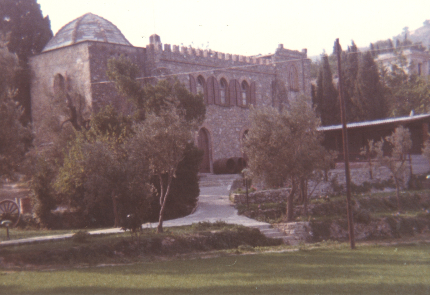 Ruderi della chiesa di S. Martino (chiesa) - Albenga (SV)  (XIII)