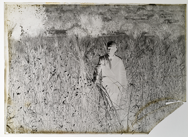 Catania - Caltagirone - Paesaggio (negativo, serie) di Carta, Rosario (attribuito) (secondo quarto XX)