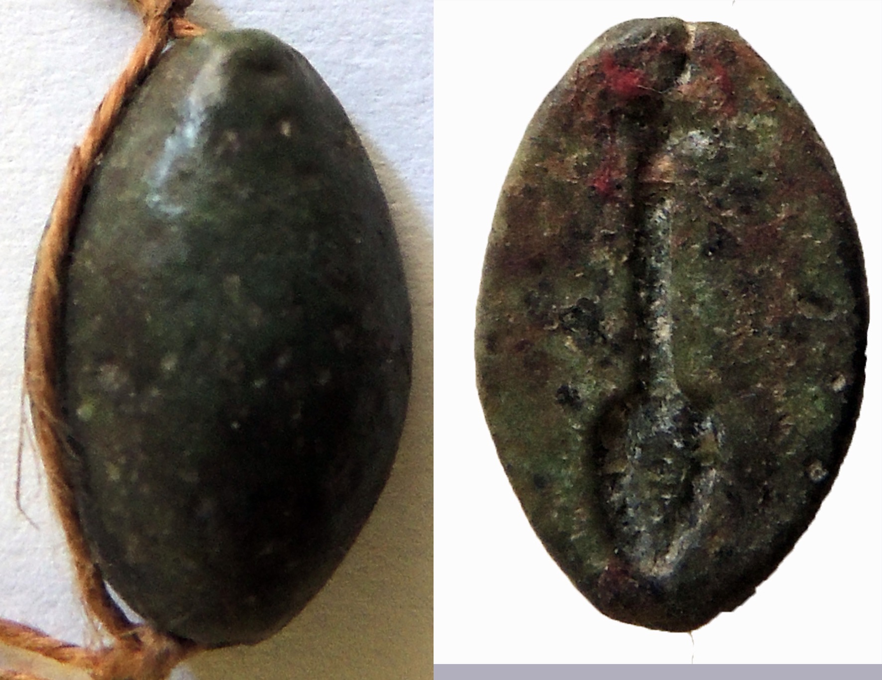 Cauroide (amuleto) (SECOLI)