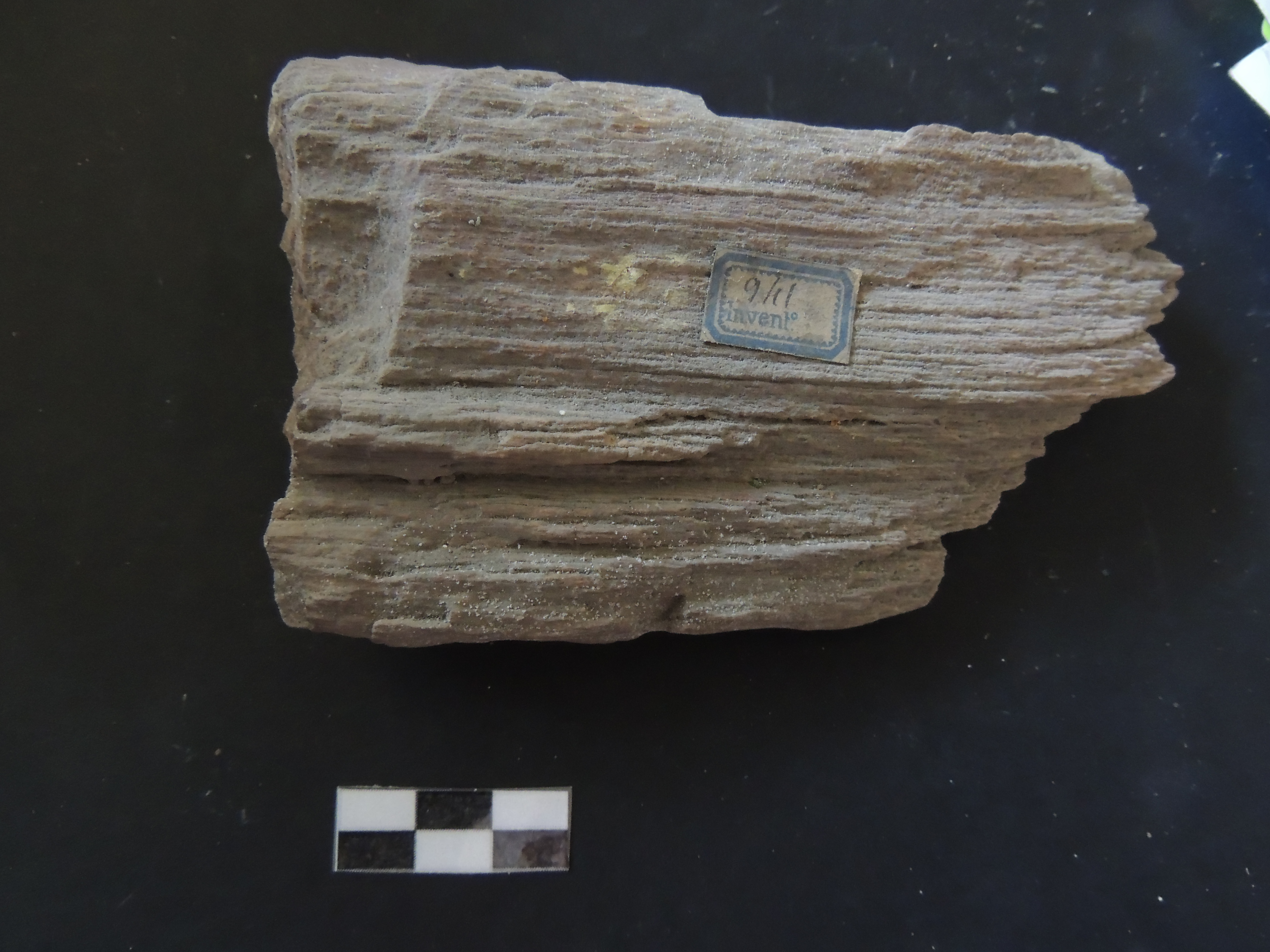 Scheggia in pietra (?) (scheggia) (non determinabile)