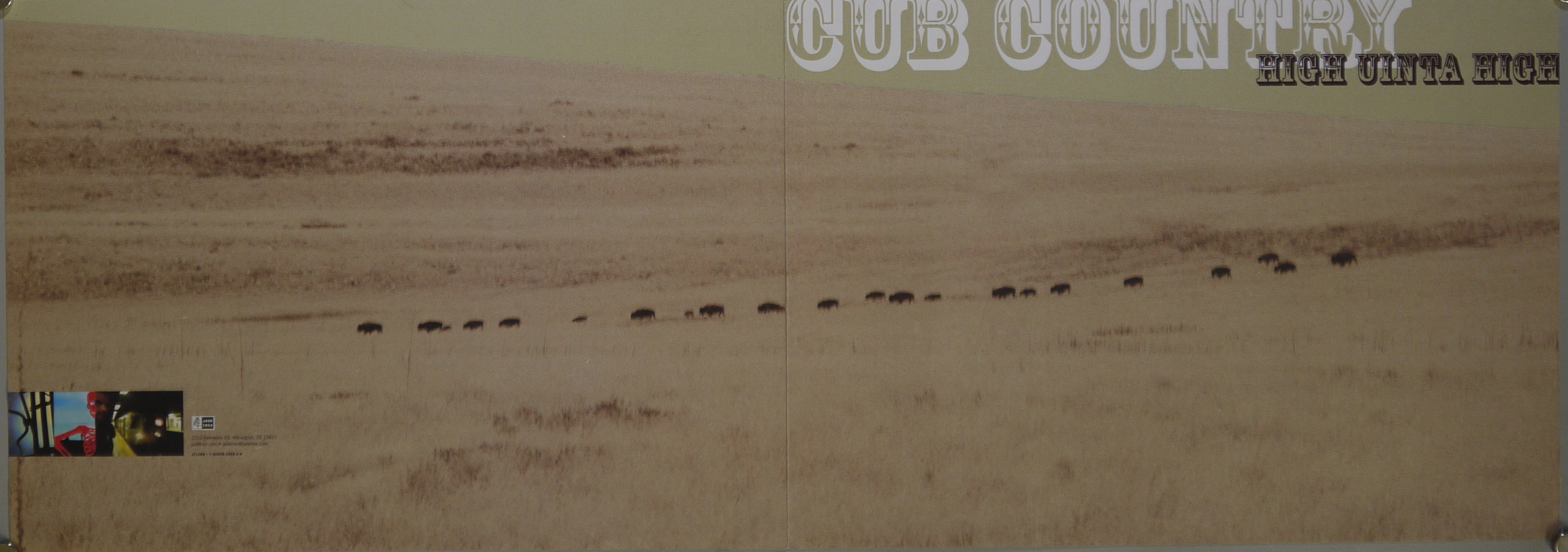 Prateria americana con mandria di bisonti (manifesto) - ambito statunitense (inizio XXI)