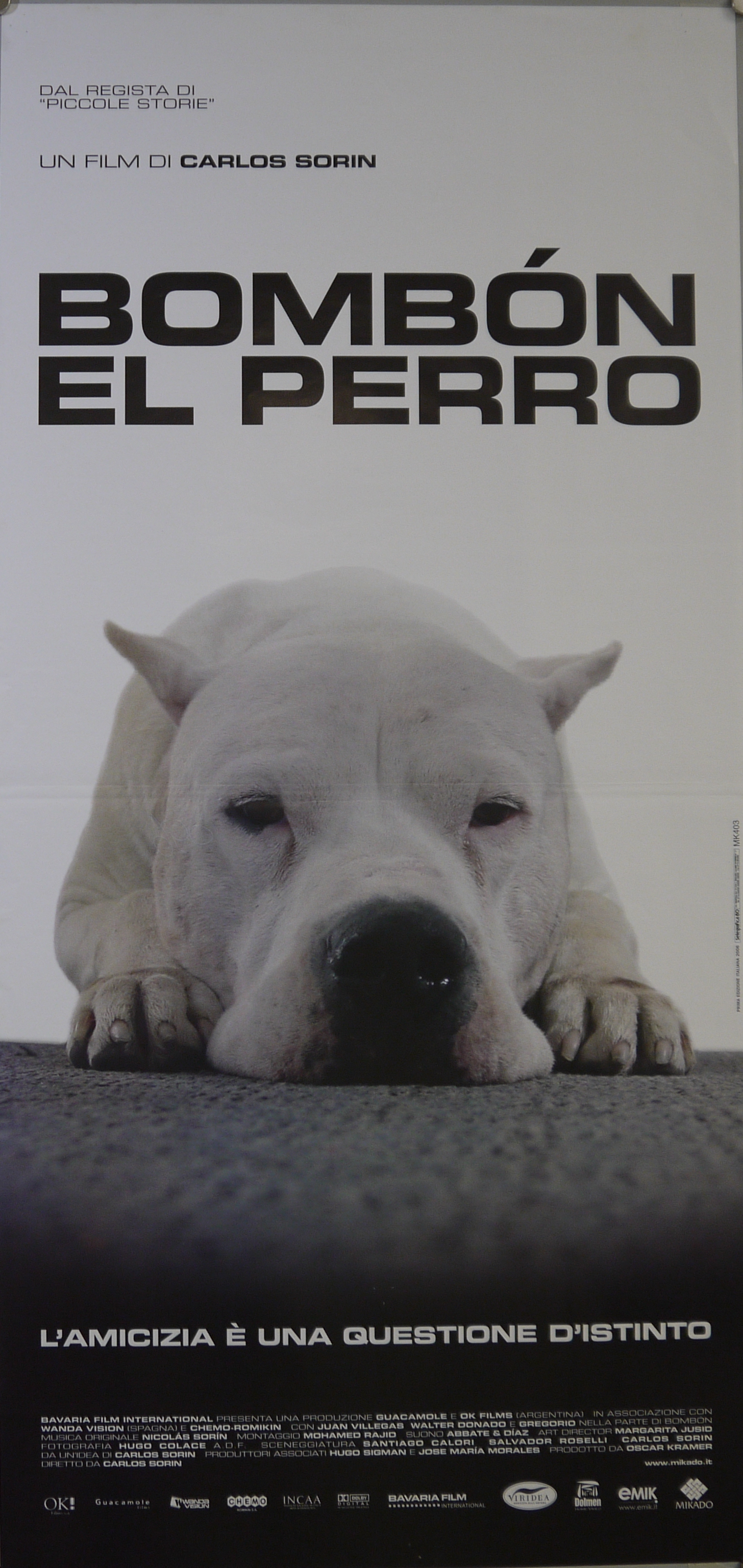 Ritratto fotografico di Gregorio, il dogo argentino che ha impersonato Bombon (locandina) - ambito spagnolo (inizio XXI)