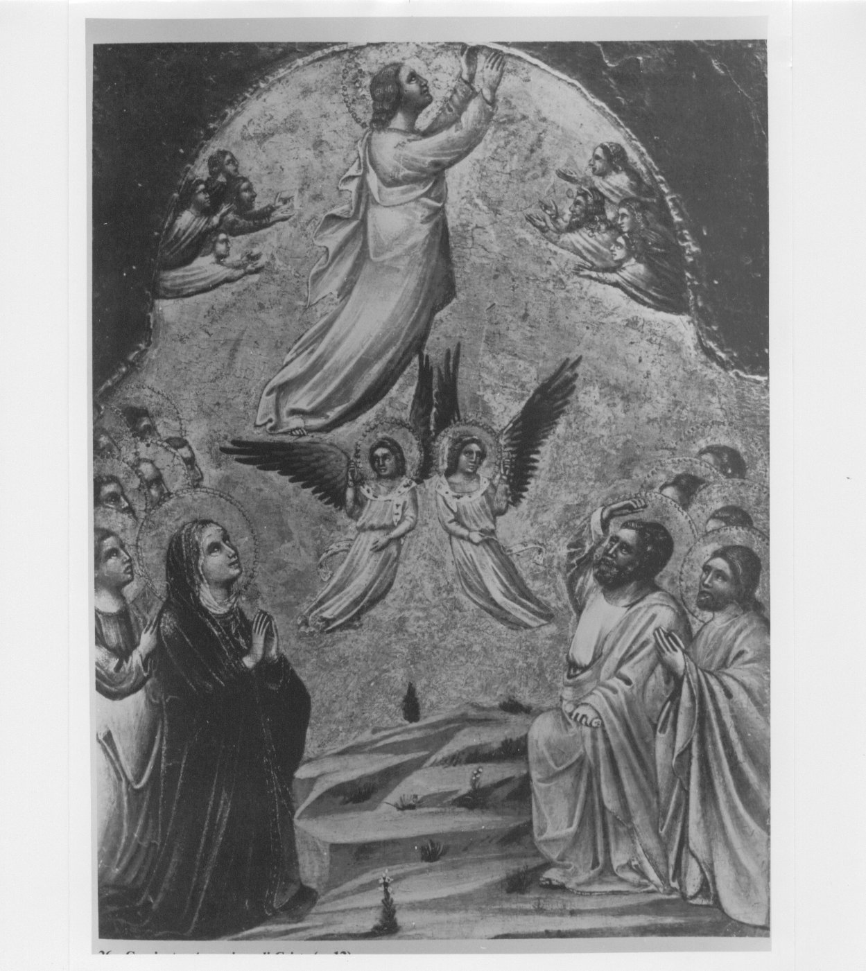 Ascensione di Cristo (scomparto di polittico) di Guariento di Arpo (XIV)