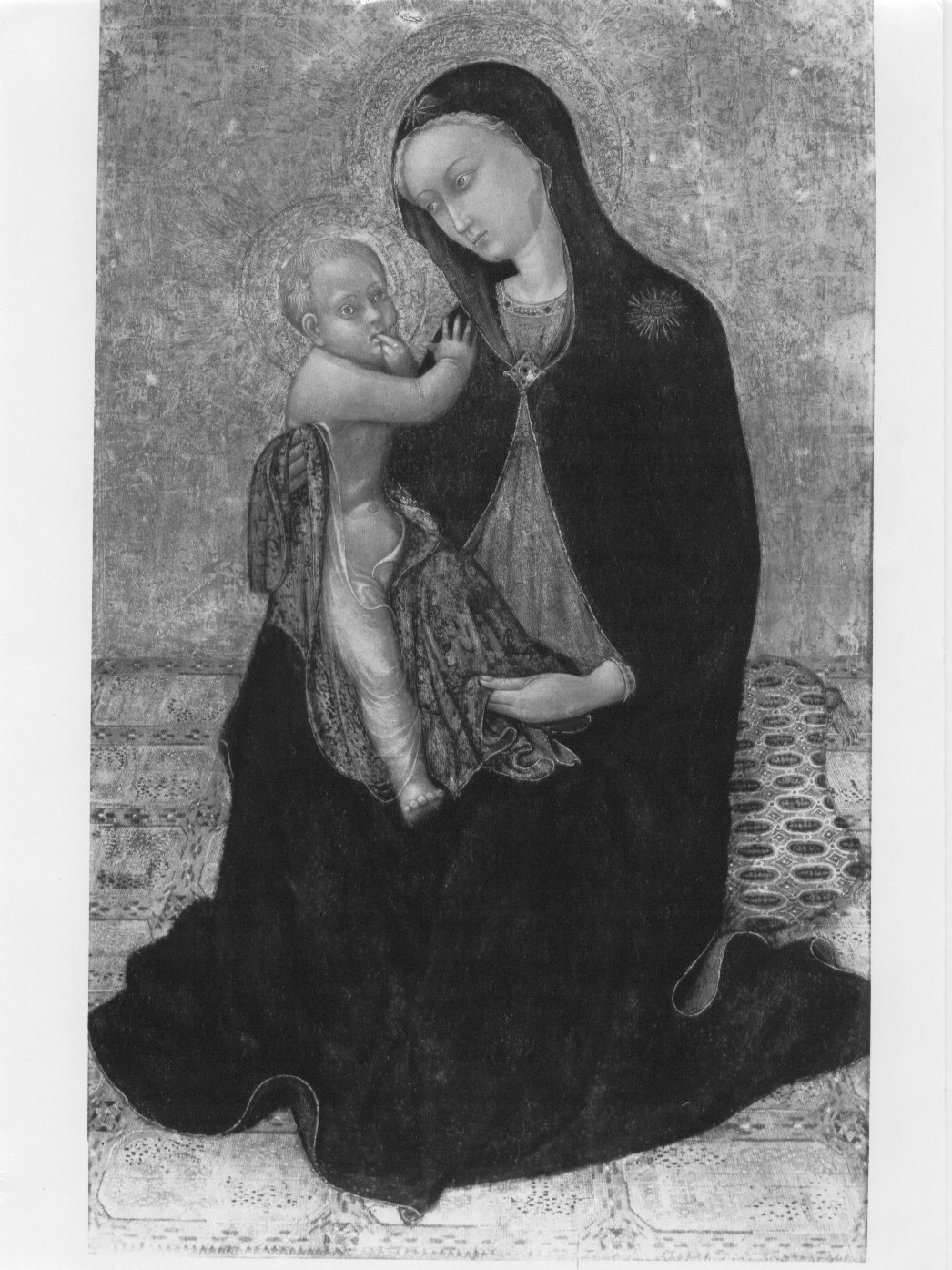 Madonna dell'Umiltà (dipinto) di Stefano di Giovanni detto il Sassetta (XV)