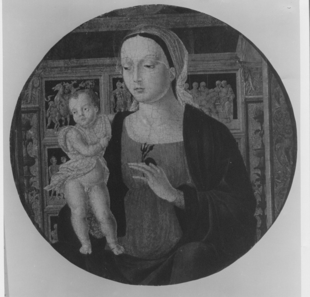 Madonna con il Bambino (dipinto) di Cavalletto Giovanni Battista (attribuito) (XV)
