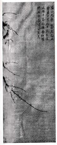 ramo di susino in fiore (dipinto) - manifattura cinese (prima metà XIV d.C)