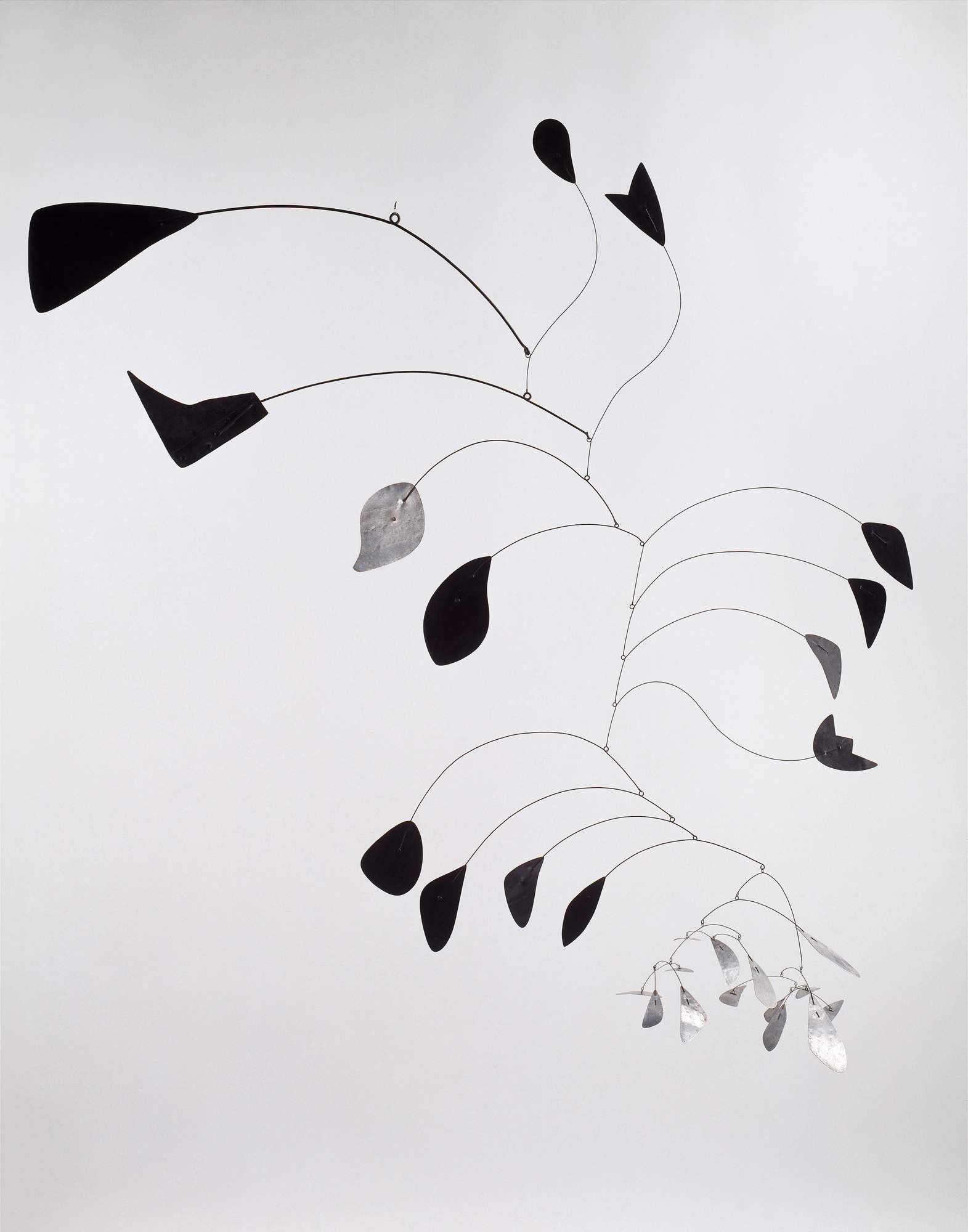 Arco di Petali (Arc of Petals), forme biomorfe (scultura) di Calder Alexander (secondo quarto sec. XX)