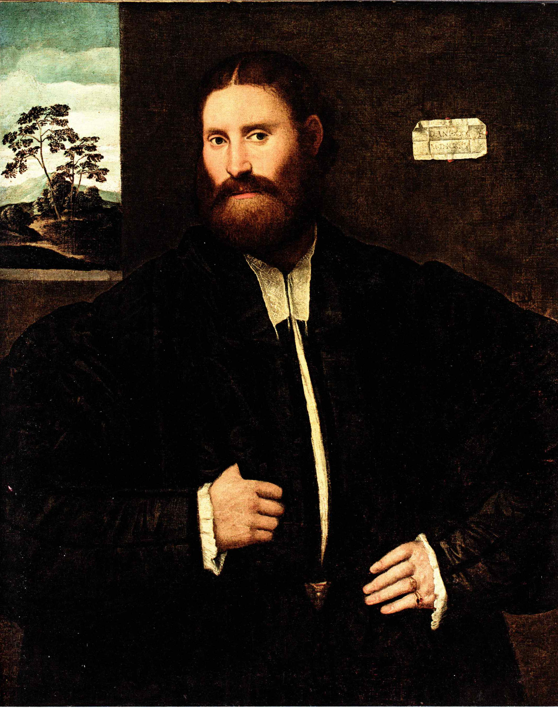 Ritratto virile (dipinto) di Licinio Bernardino (attribuito) (sec. XVI)