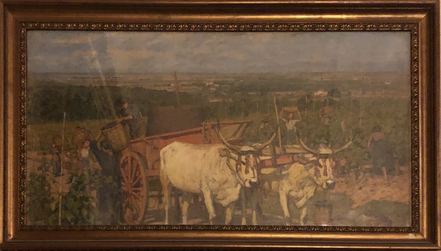 Vendemmia a Fauglia, Scena campestre di vendemmia (dipinto) di Gioli Luigi (inizio XX)