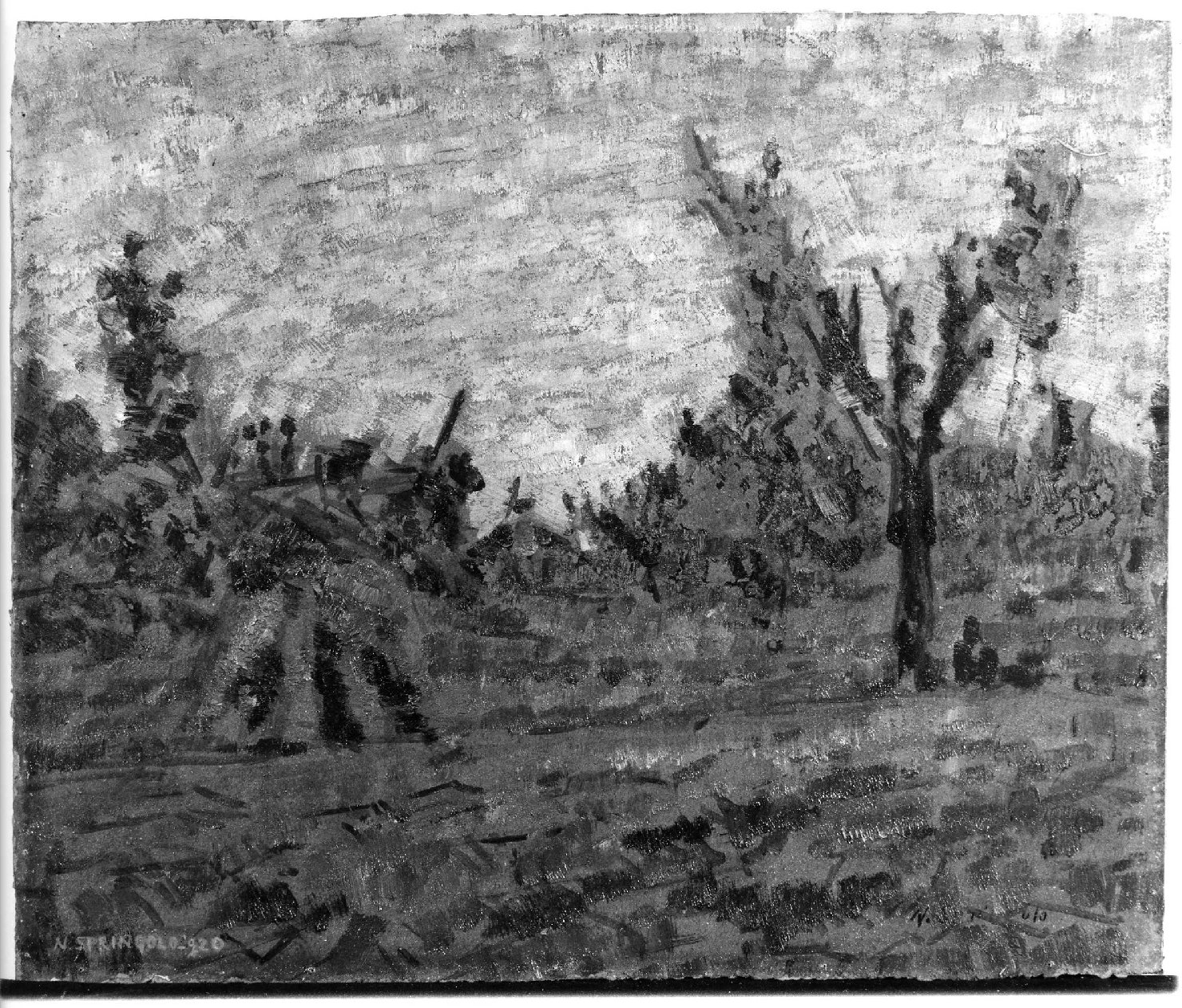 Campo arato e biche (Paesaggio veneto), paesaggio (dipinto, opera isolata) di Springolo Nino (sec. XX)
