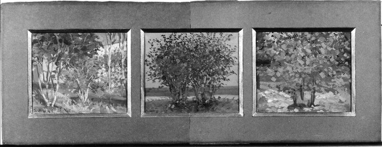 Studi autunnali (Impressioni autunnali), paesaggio con alberi (dipinto, opera isolata) di Zenatello Alessandro (sec. XX)