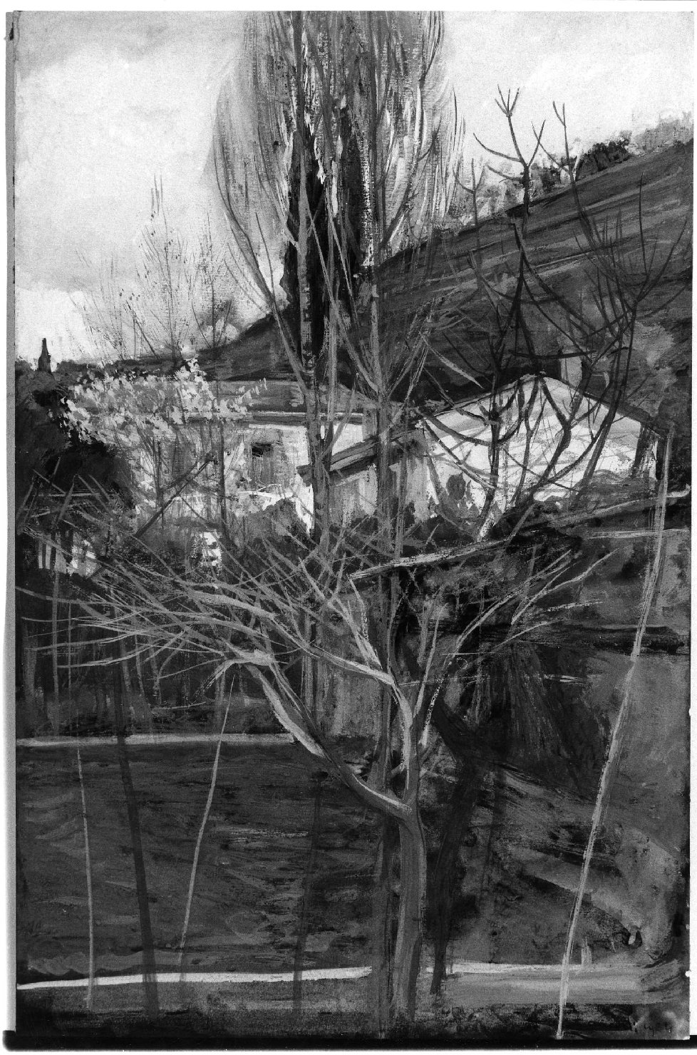 Paesaggio oppure Primavera, paesaggio primaverile (dipinto, opera isolata) di Zancolli Giuseppe (sec. XX)