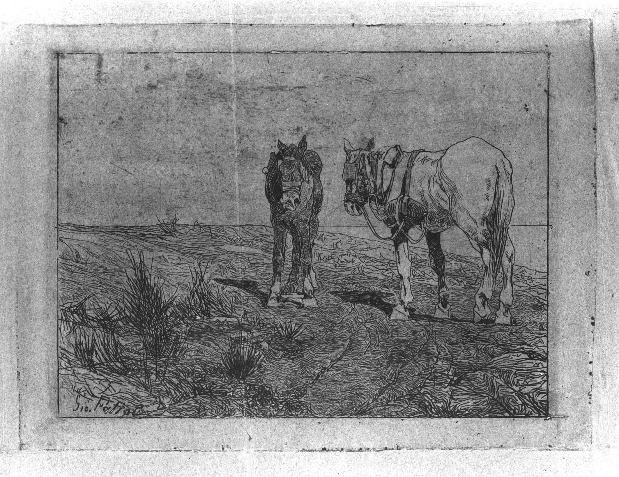 Sosta di cavalli, paesaggio con animali (stampa) di Fattori Giovanni (attribuito) (XIX/XX)