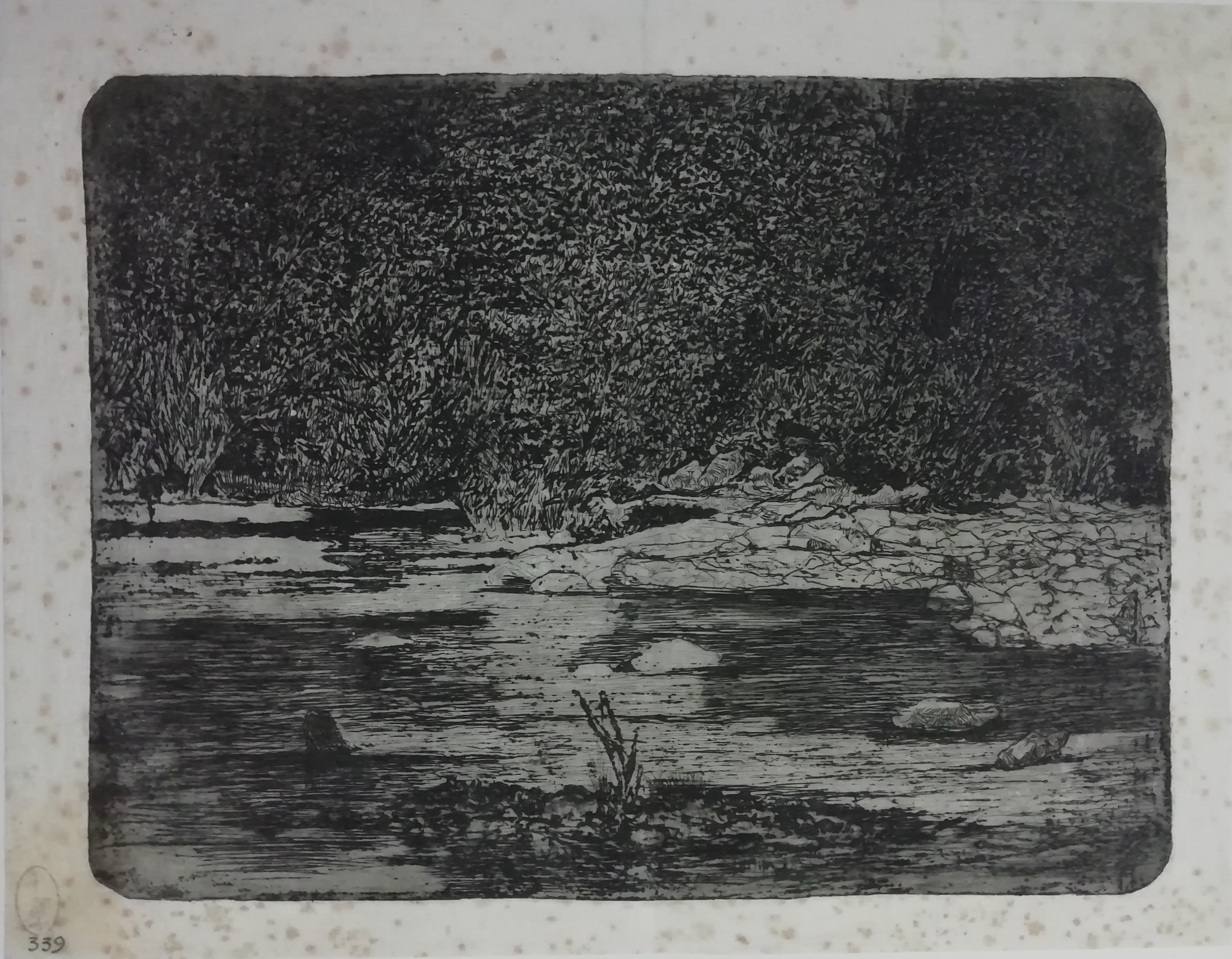 Il greto del torrente, paesaggio (stampa) di Fattori Giovanni (attribuito) (XIX/XX)