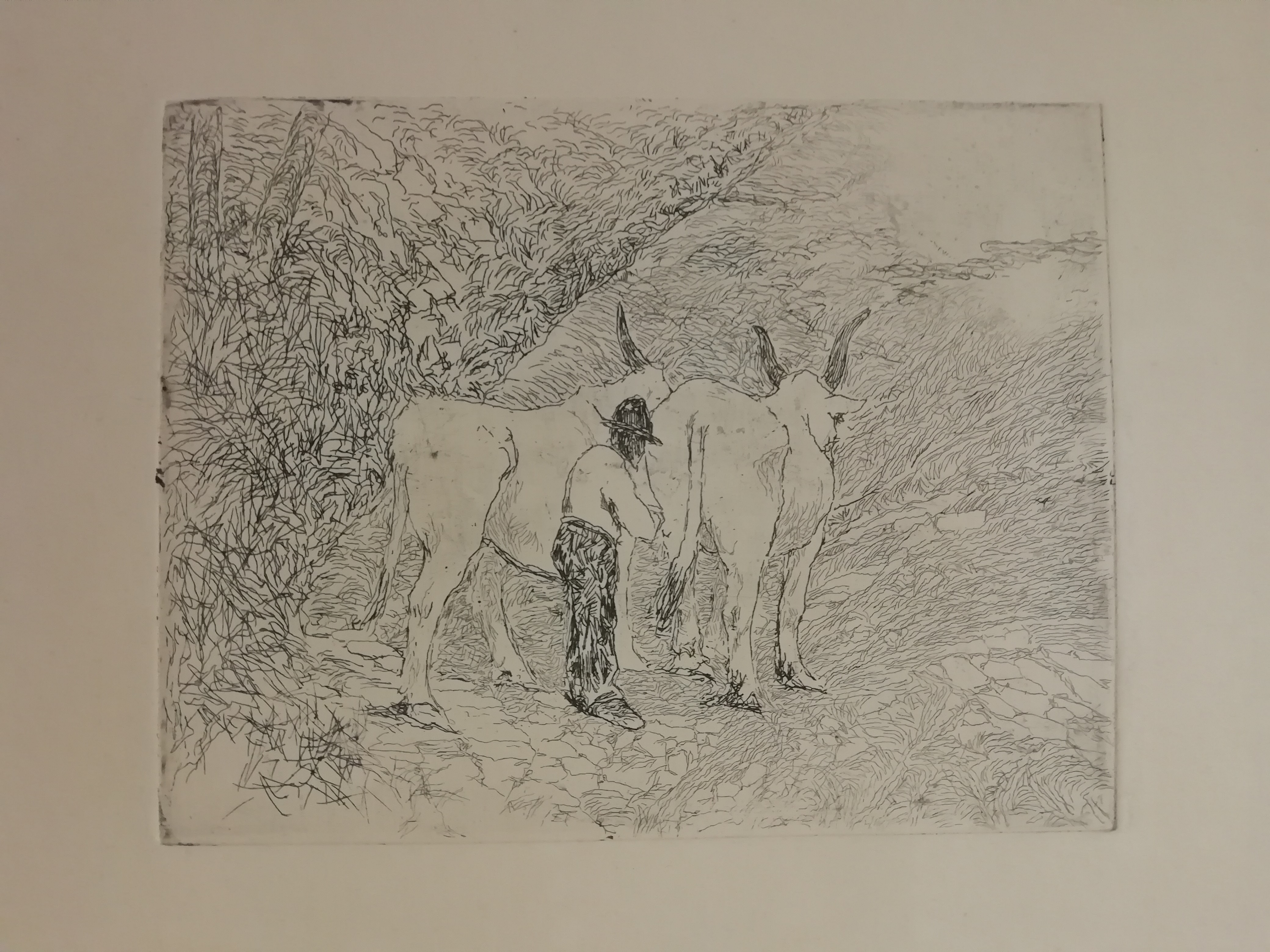 Contadino e buoi, paesaggio con animali e figure (stampa) di Fattori Giovanni (attribuito) (XIX/XX)