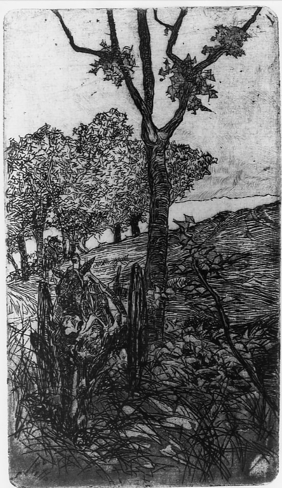 Cavallo al barroccio, scena campestre (stampa) di Fattori Giovanni (XIX/ XX)