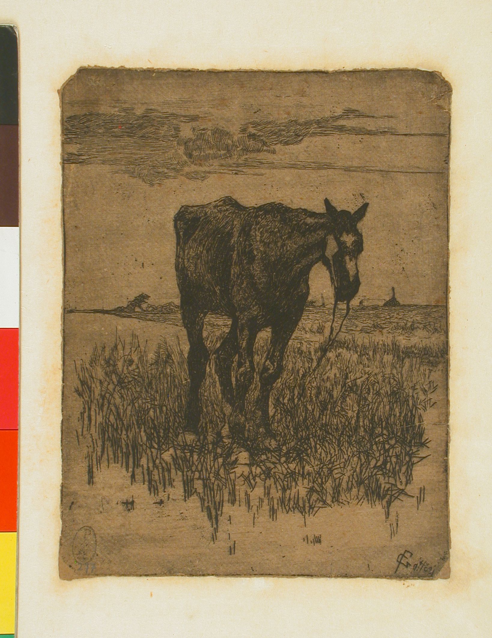 Il vecchio cavallo, cavallo (stampa) di Fattori Giovanni (XX)