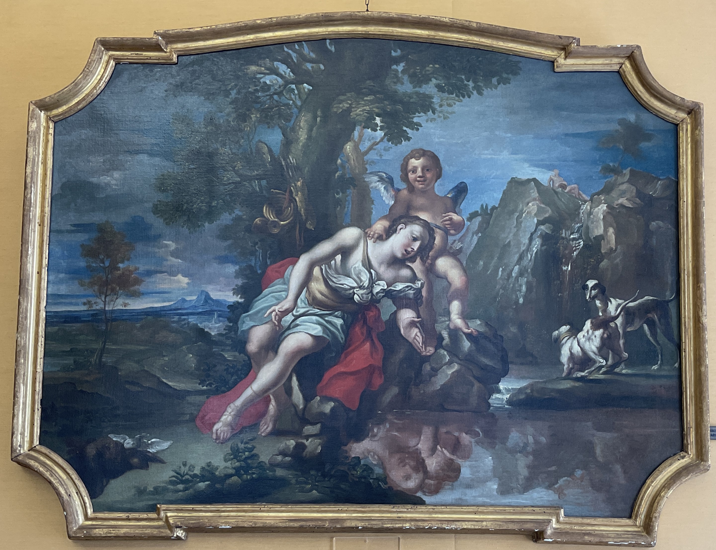 Narciso alla fonte, Narciso, fonte, angelo, cani (dipinto, opera isolata) di Lorenzo De Ferrari (prima metà XVIII)