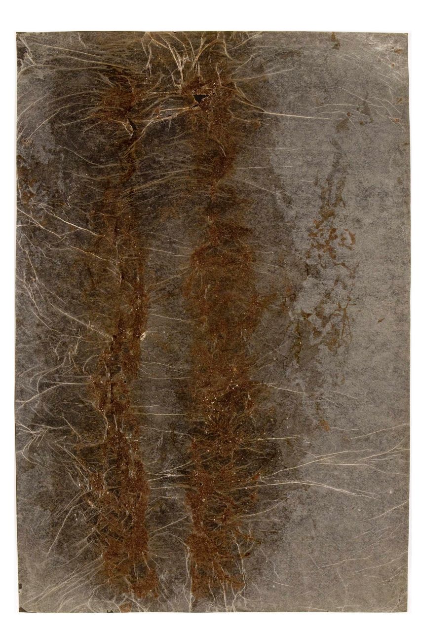 Senza titolo, composizione astratta (opera bidimensionale) di Scialoja Toti (Sec. XX)