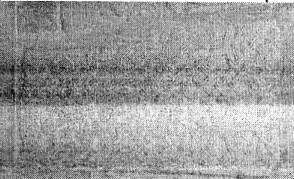 pluteo, elemento d'insieme - ambito carolingio (sec. IX)