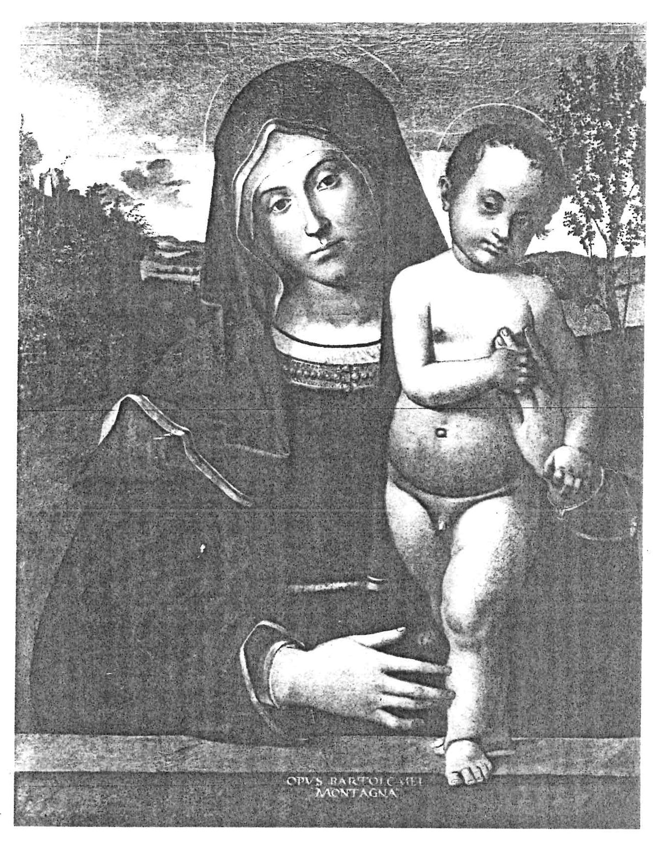 Madonna col Bambino (dipinto, opera isolata) di Montagna Bartolomeo (attribuito) (fine/ inizio secc. XV/ XVI)