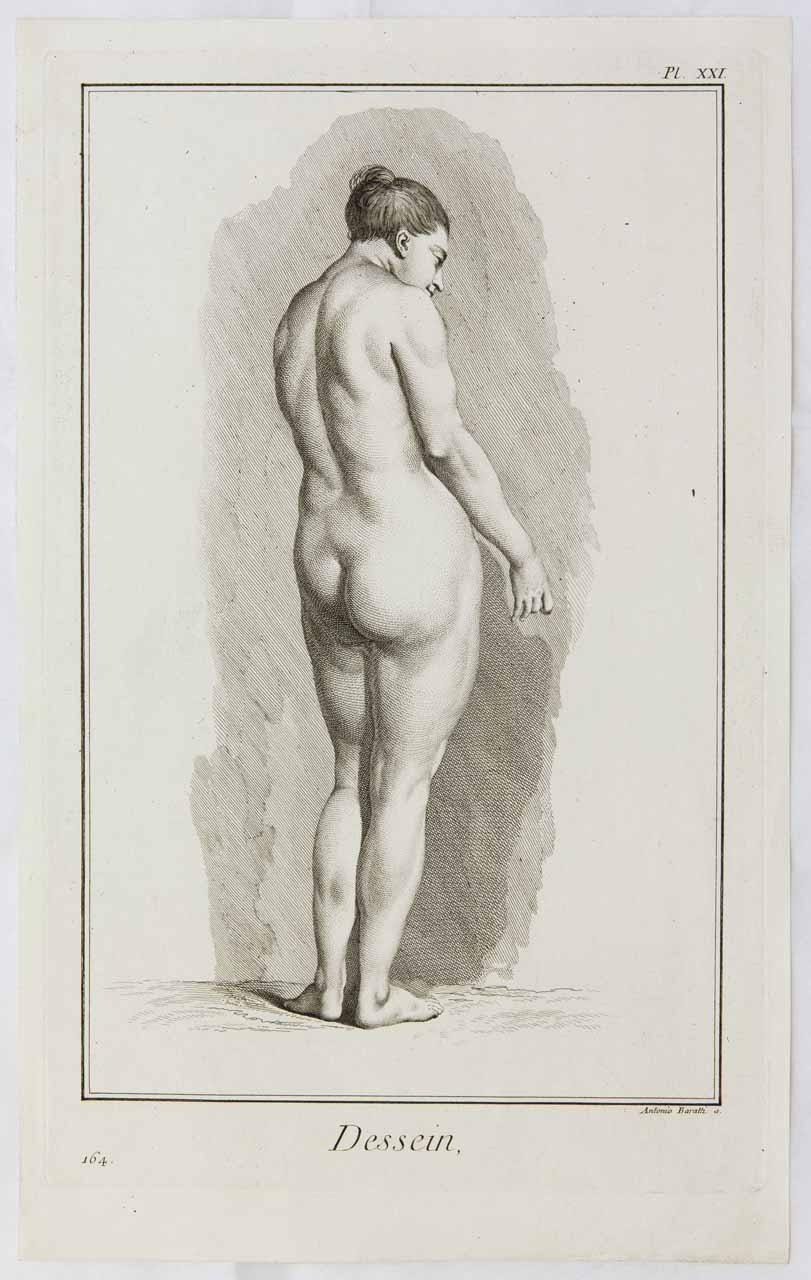 Studio accademico di nudo femminile (stampa) di Baratti Antonio - ambito bellunese (sec. XVIII)