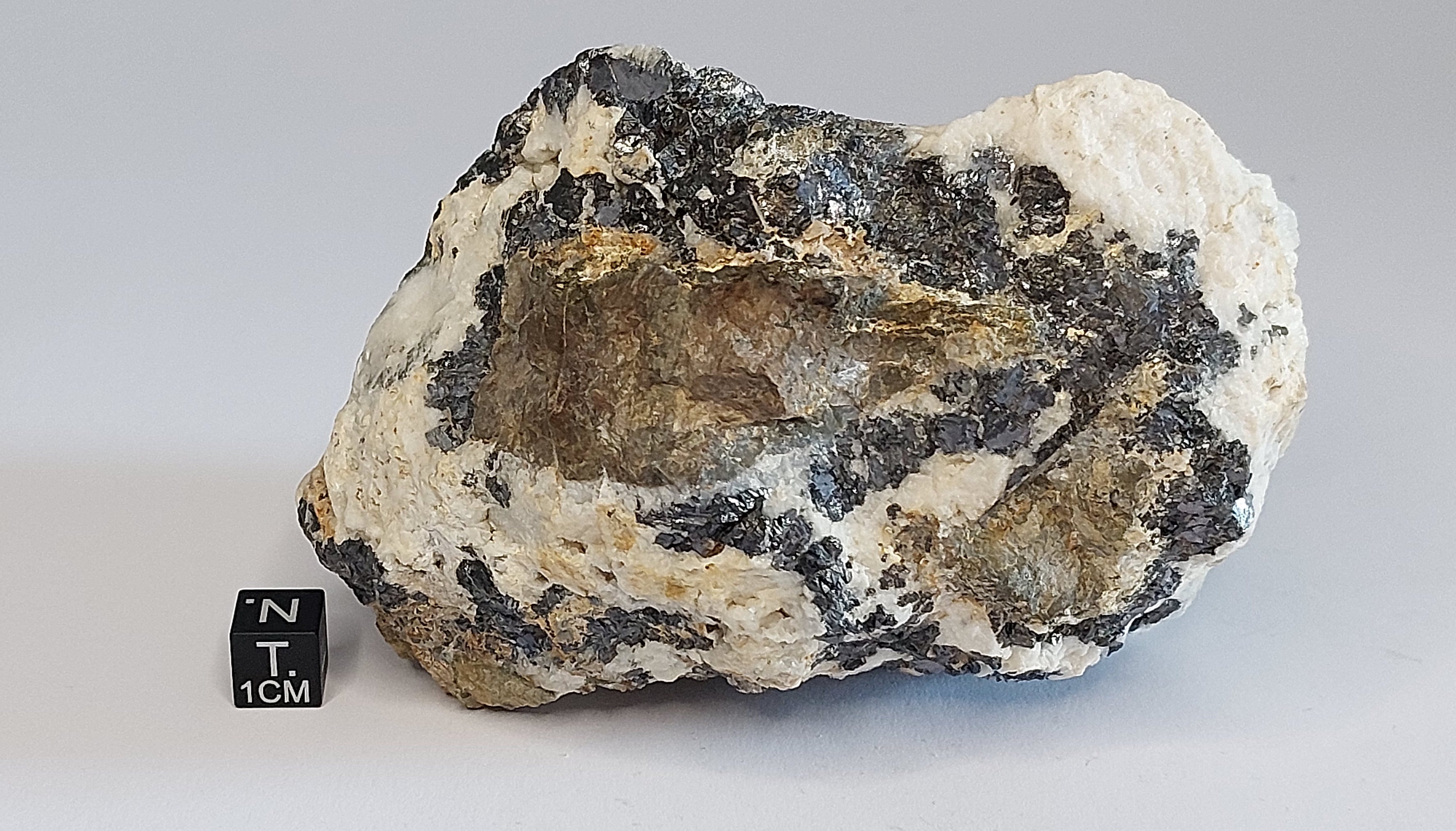Blenda lamellare (esemplare)