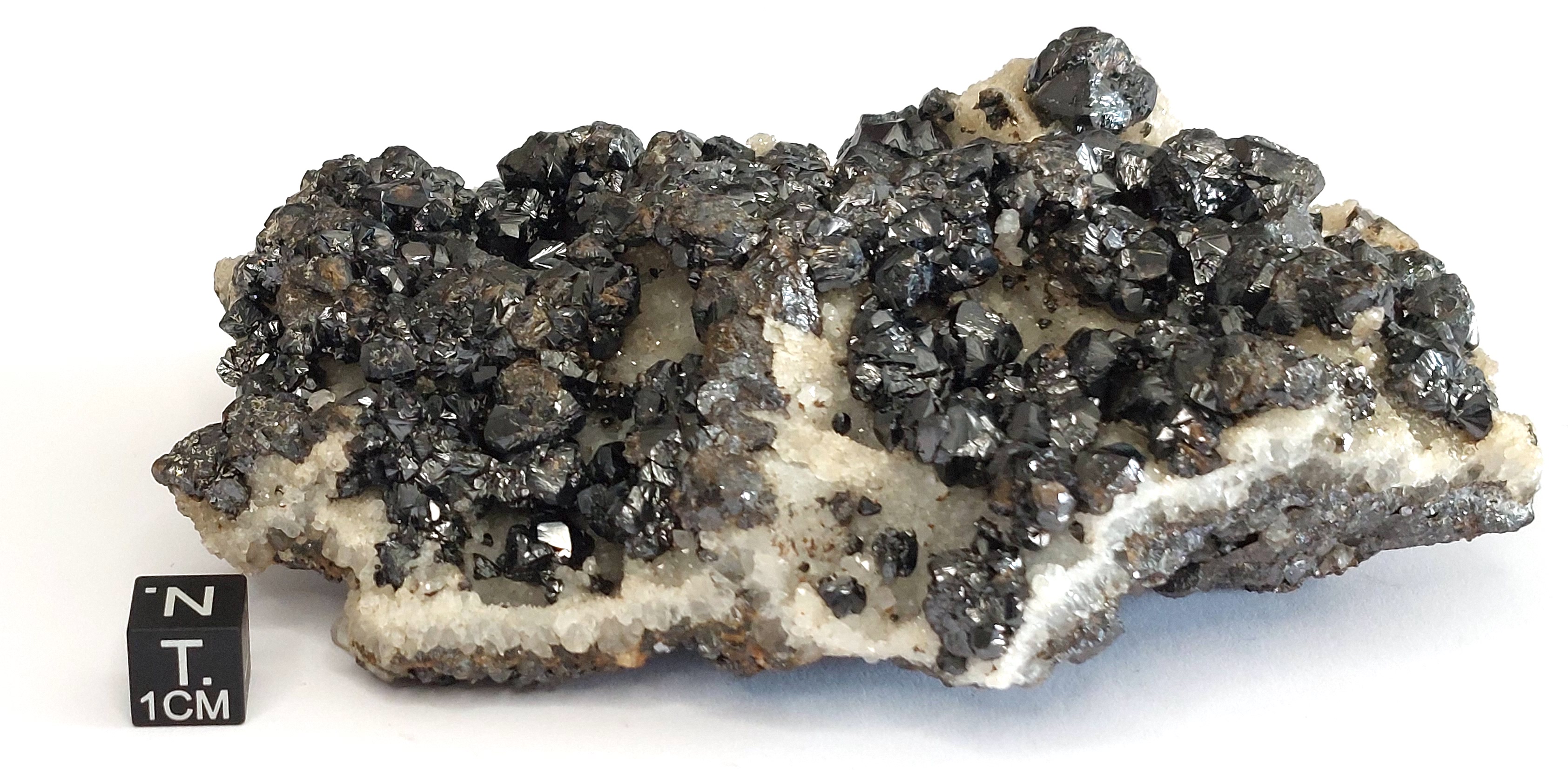 Blenda con galena (esemplare)