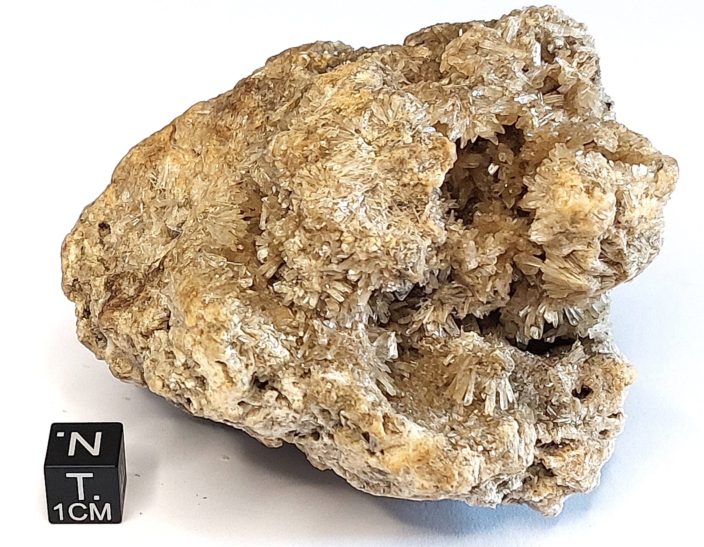 Calcite stallattitica (esemplare)