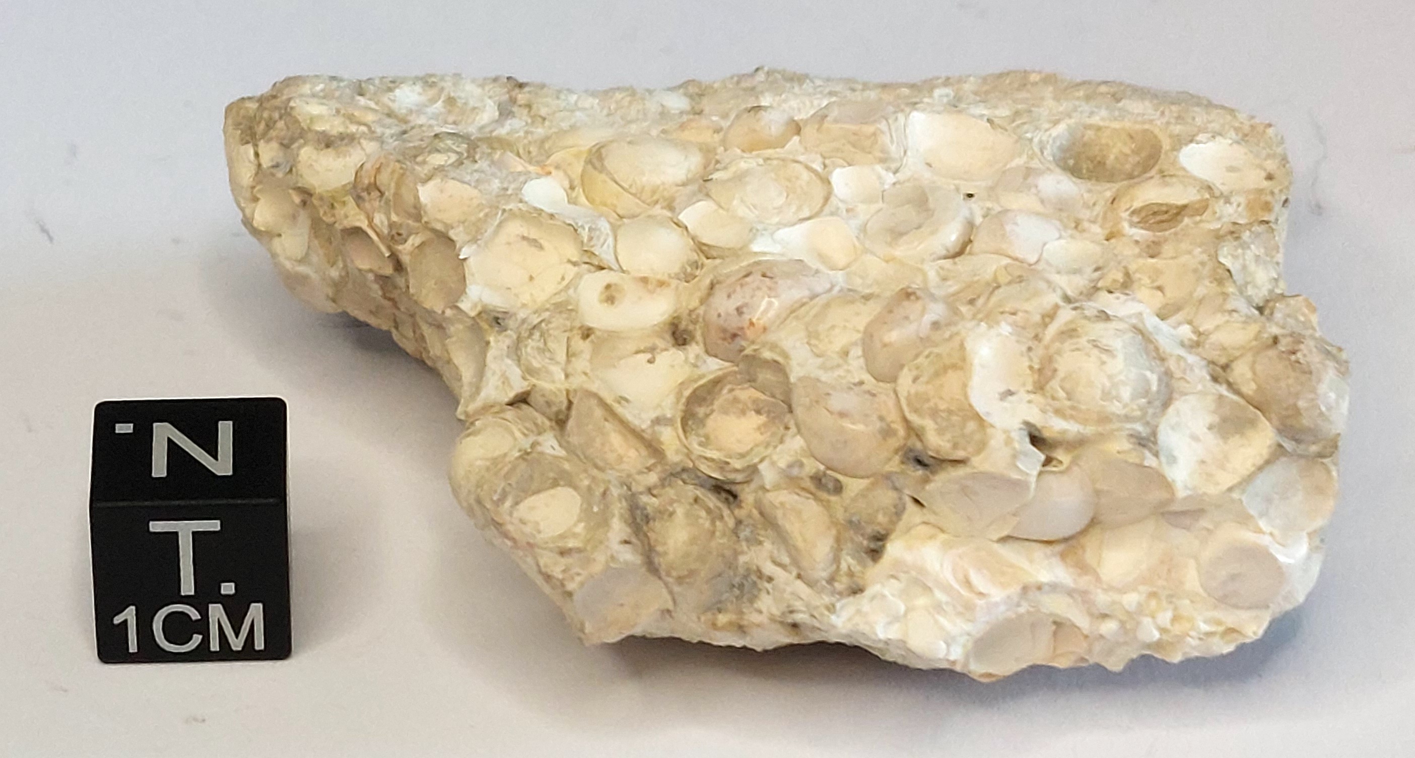 Calcite pisolitica (esemplare)