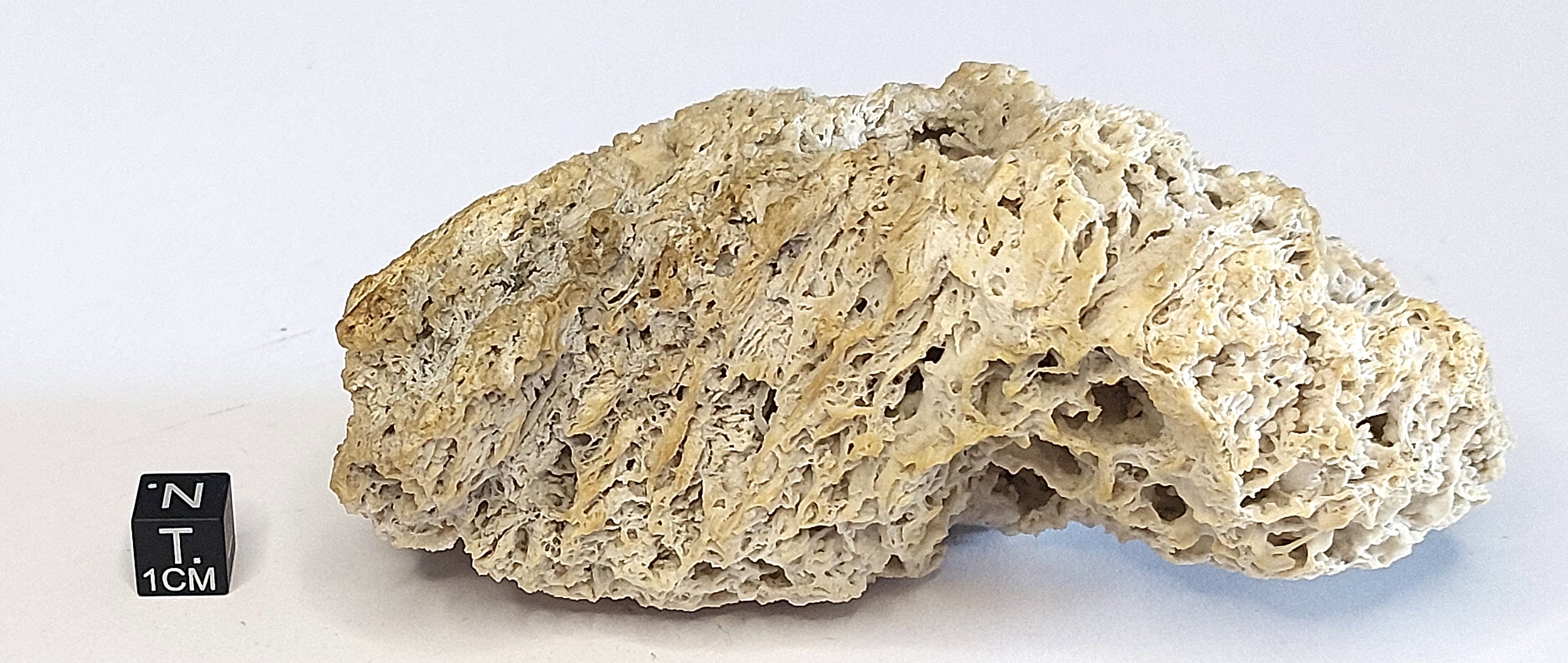 Calcite travertino spugnoso (esemplare)