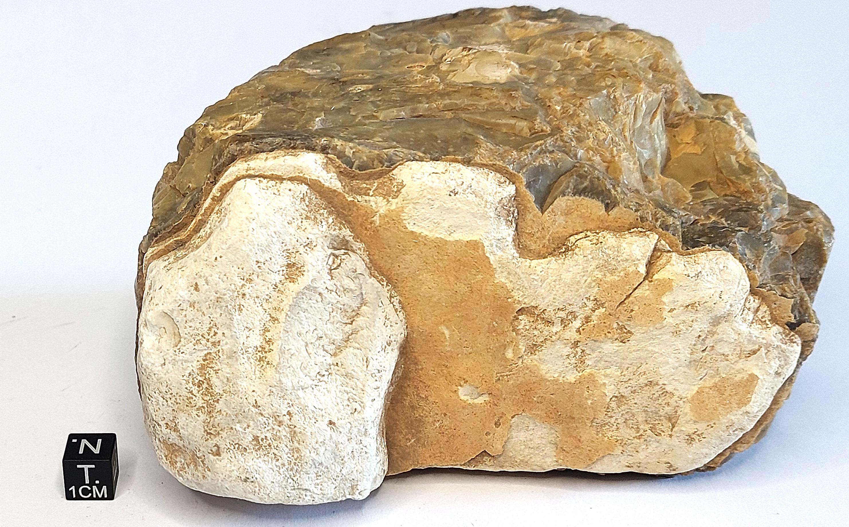 Calcedonio con calcare (esemplare)