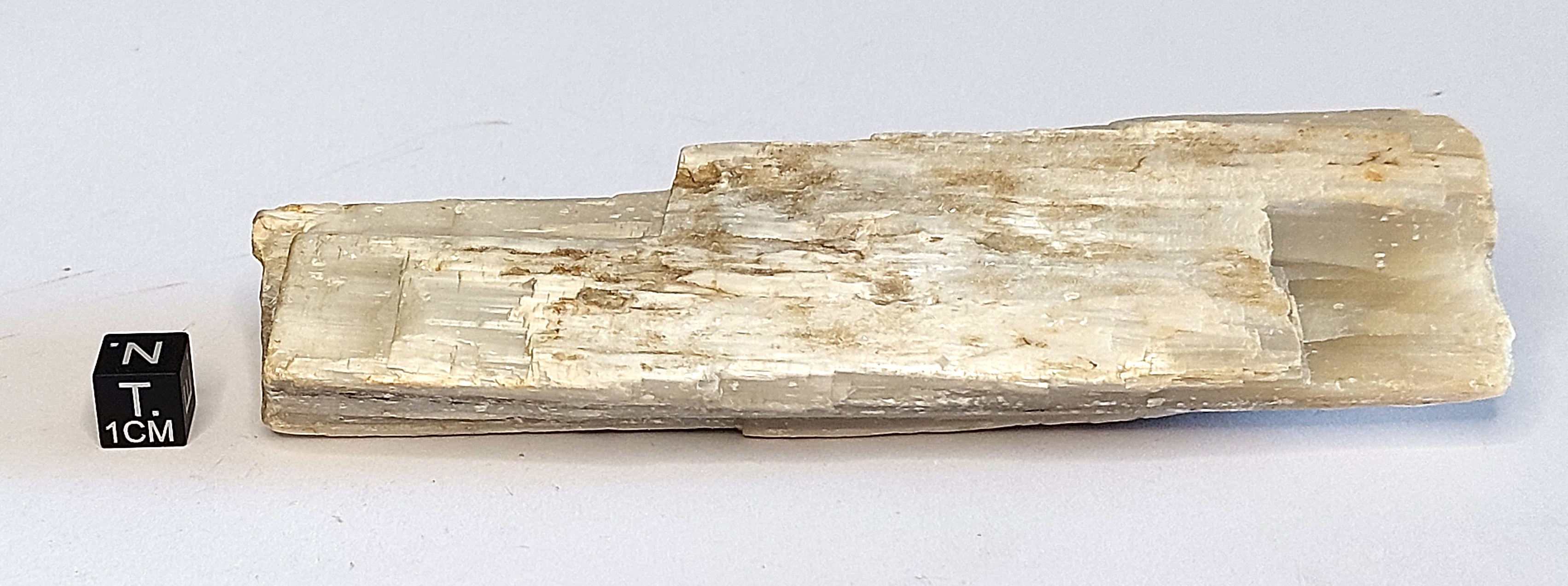 Gesso saccaroide (alabastro) zonato (esemplare)