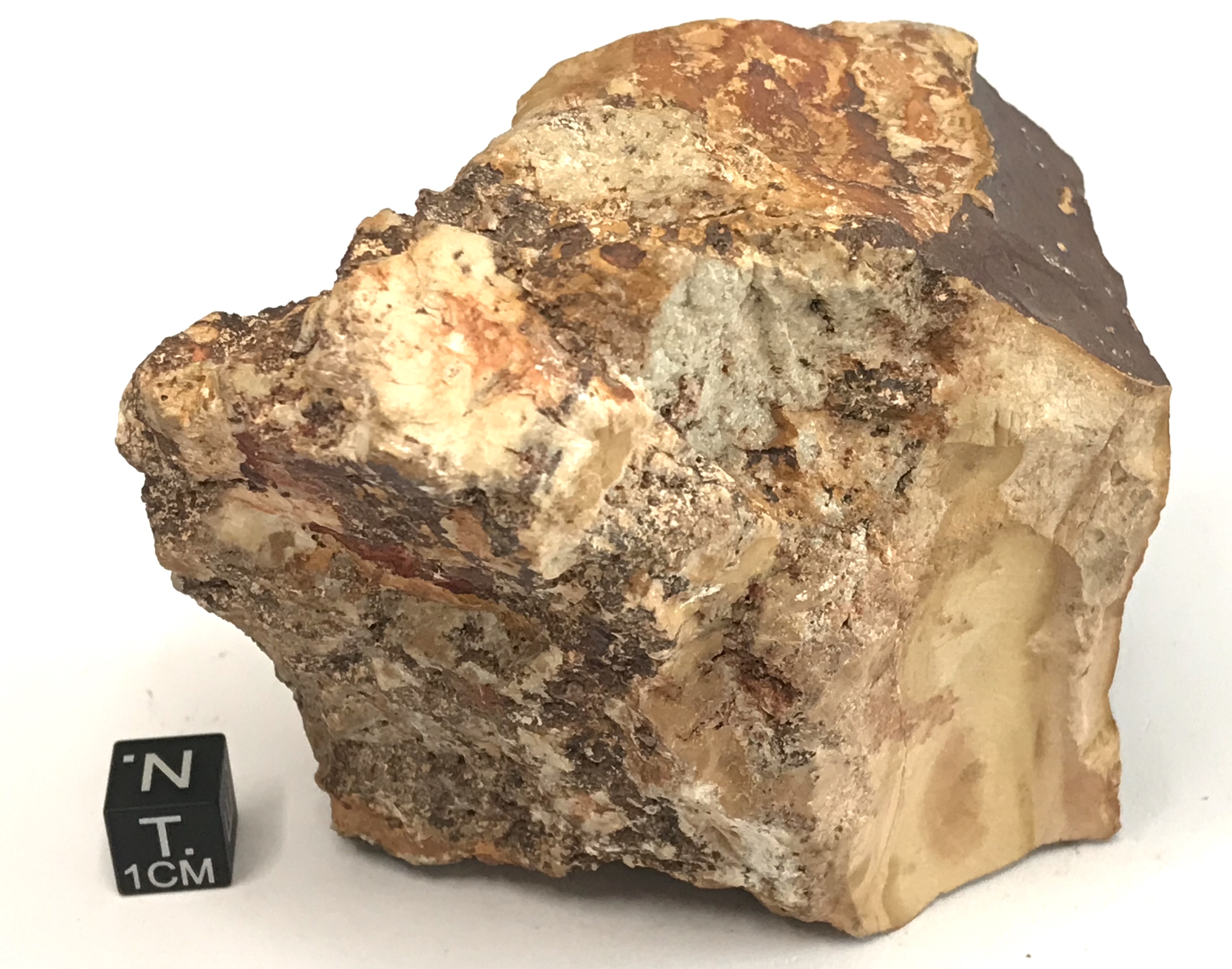 Dolomite giallo bianchiccia (esemplare)