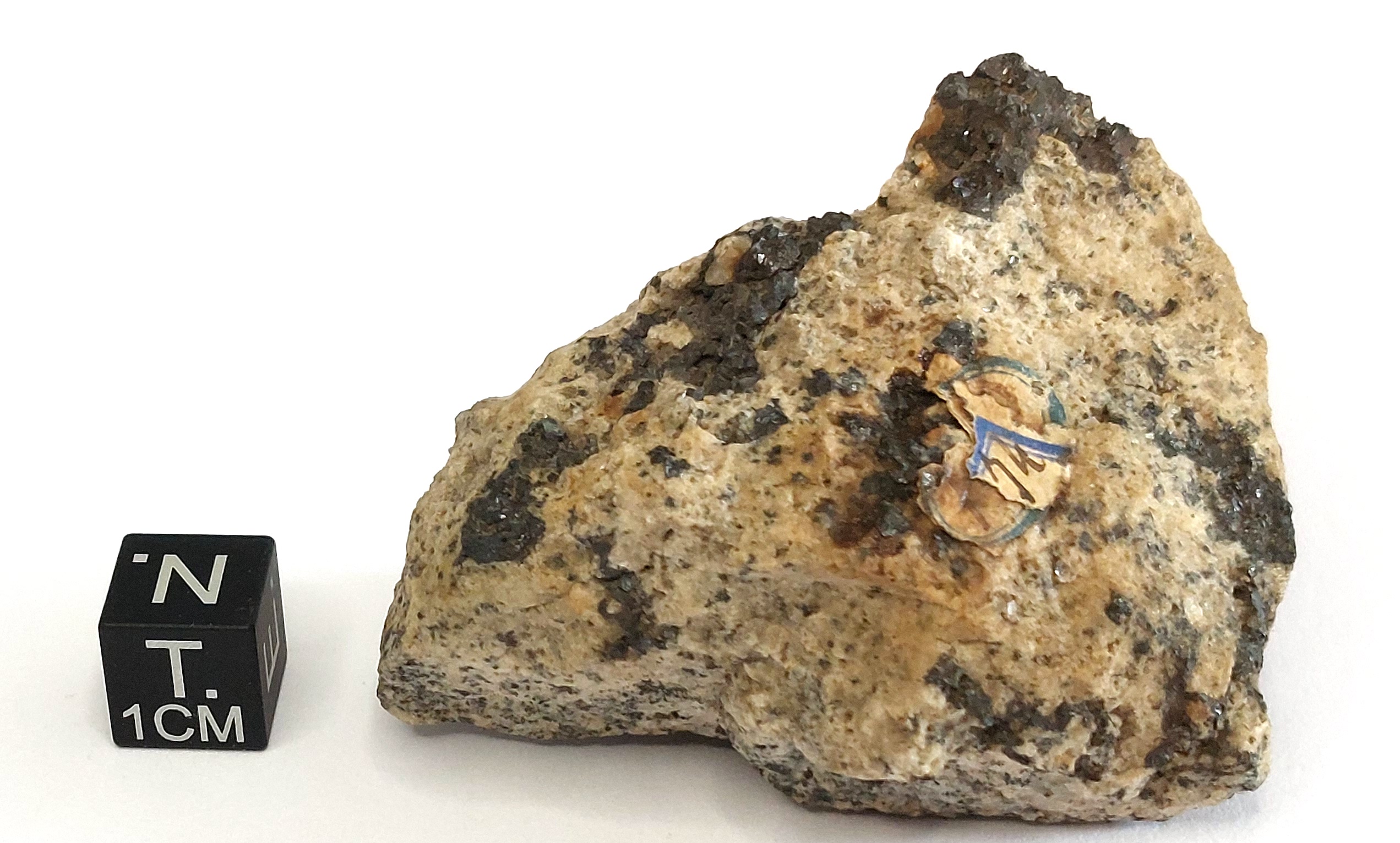Magnetite con nefelina (esemplare)