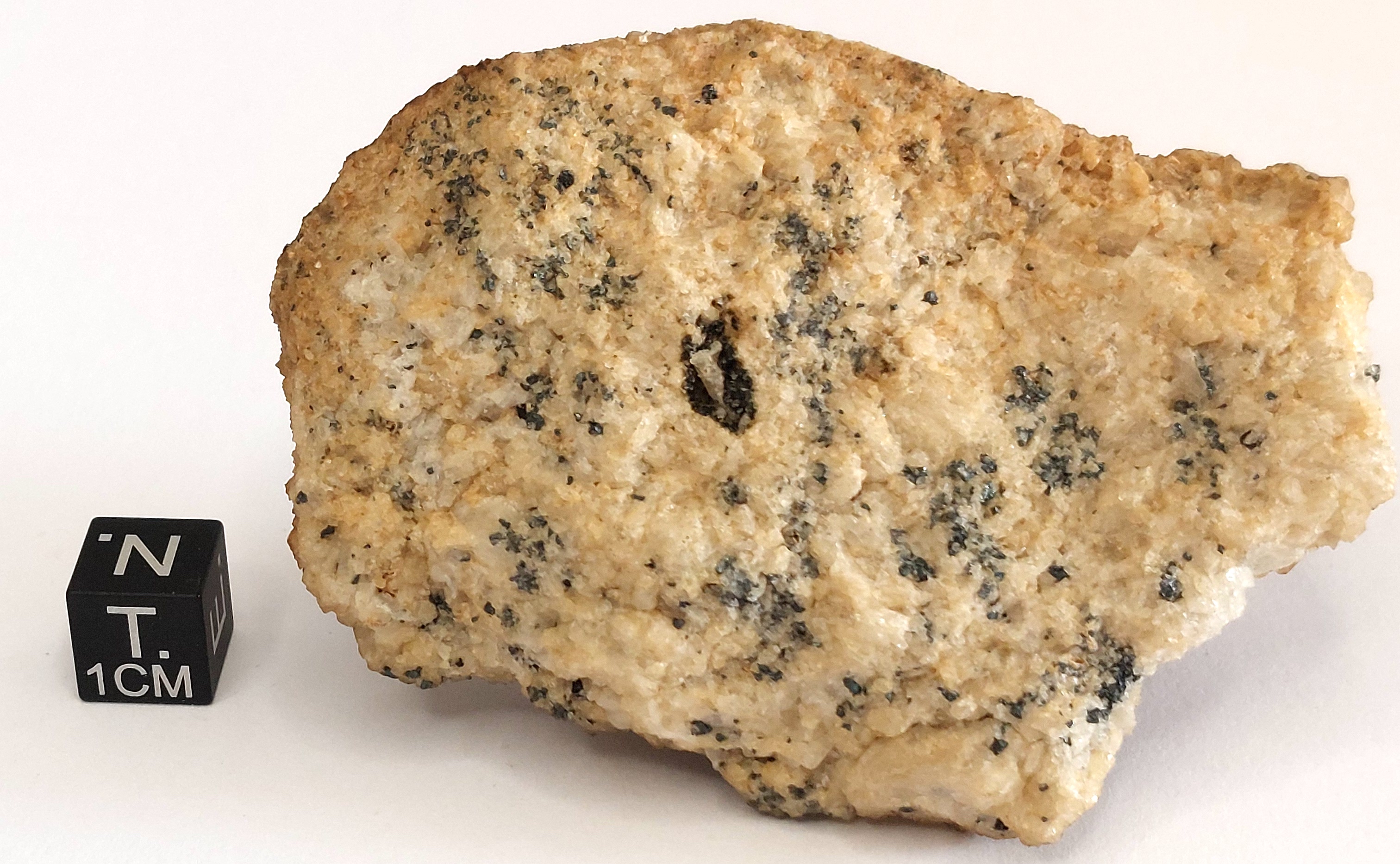 Magnetite nella quarzite (esemplare)