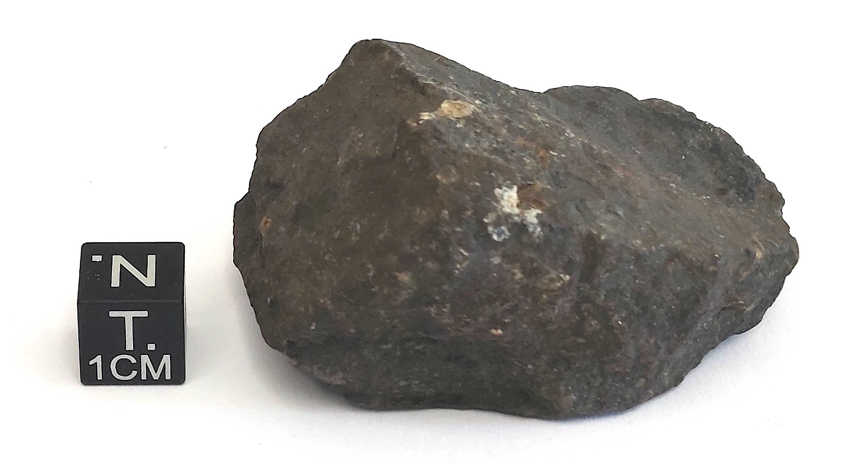 Oligisto ferroso (esemplare)