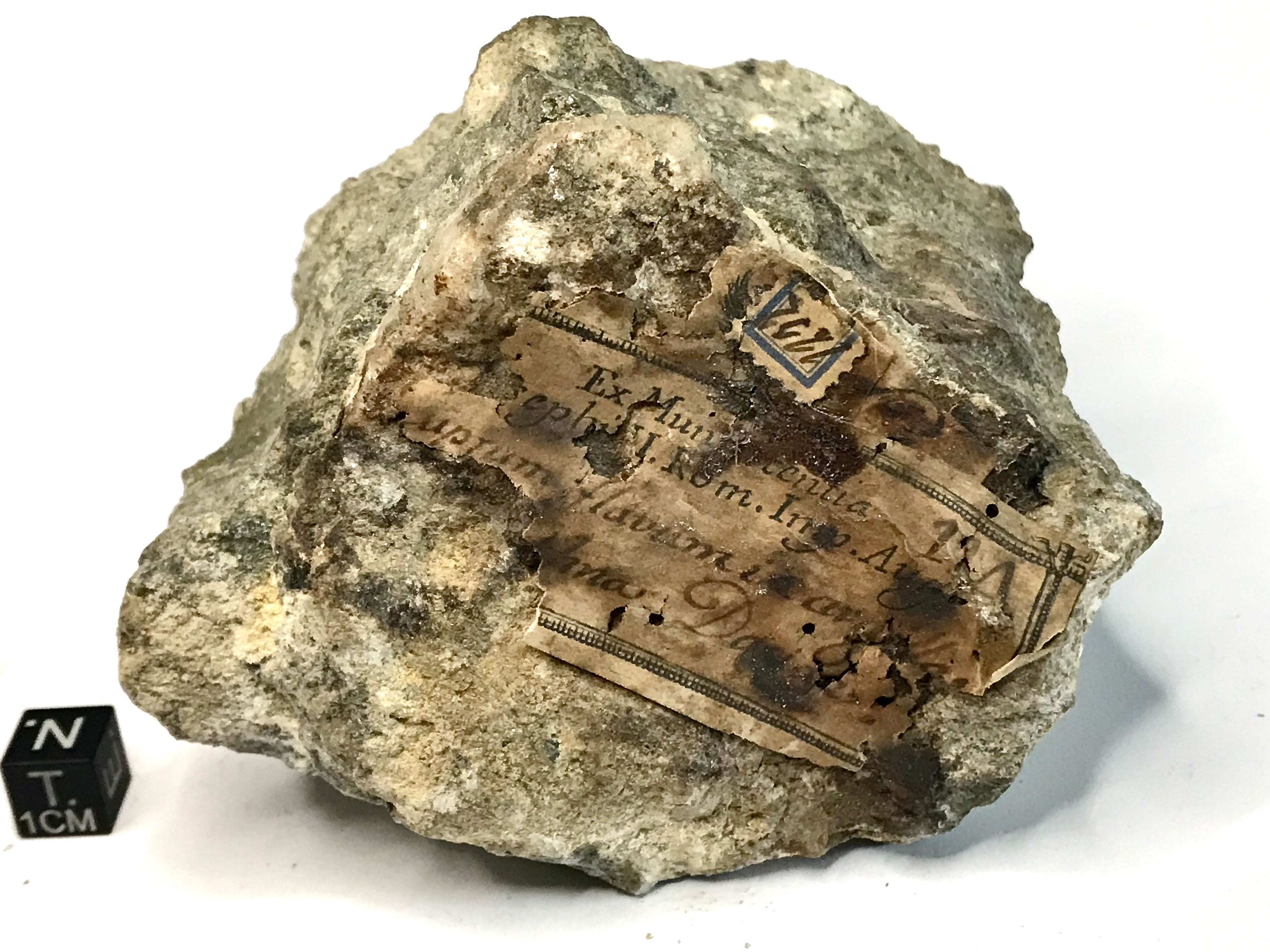 Calcopirite sull'argilla cenere (esemplare)