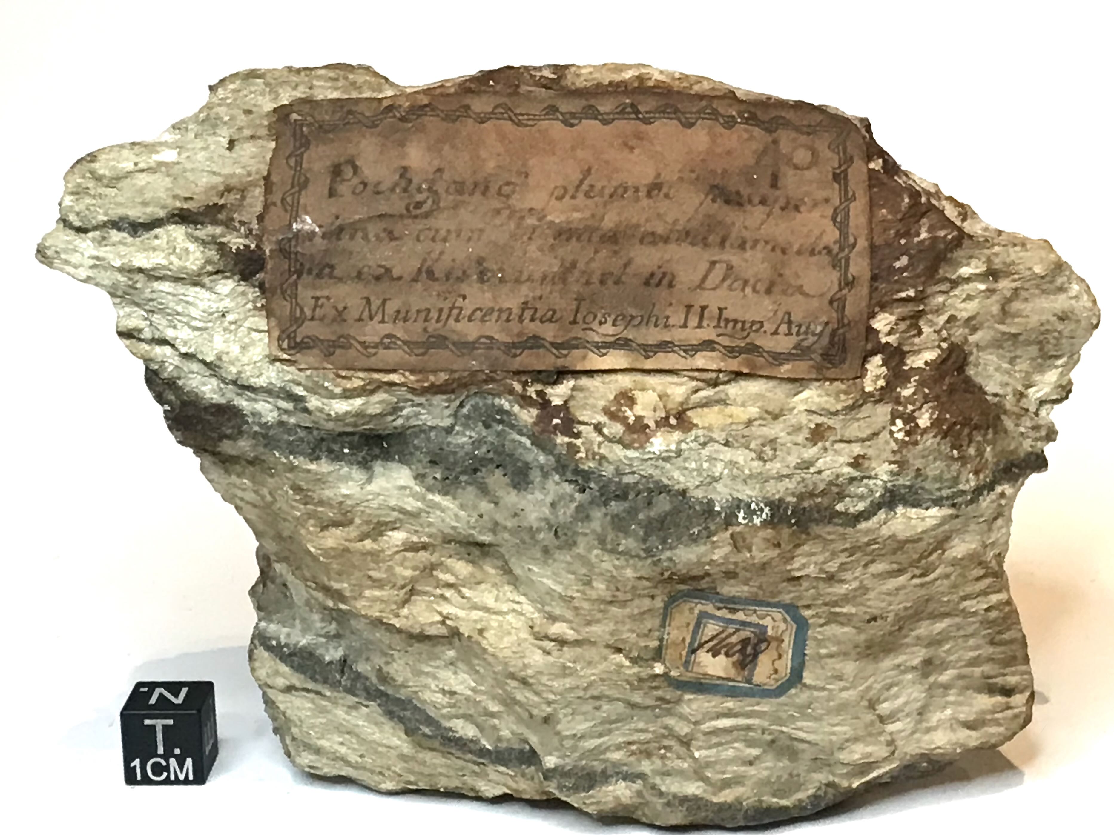 Galena sull'argilla bianca (esemplare)