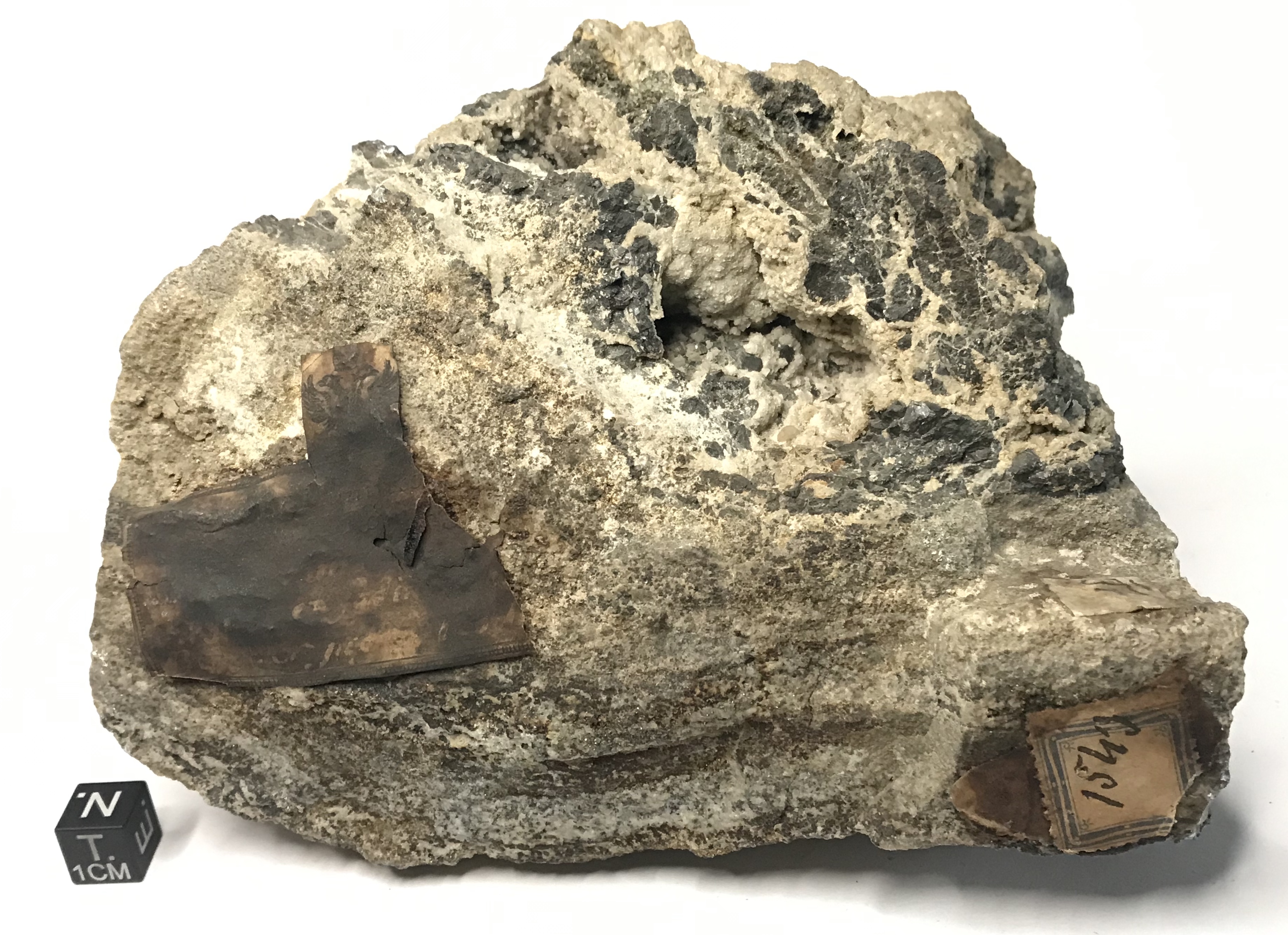 Oro con tellurio con galena e pirite (esemplare)