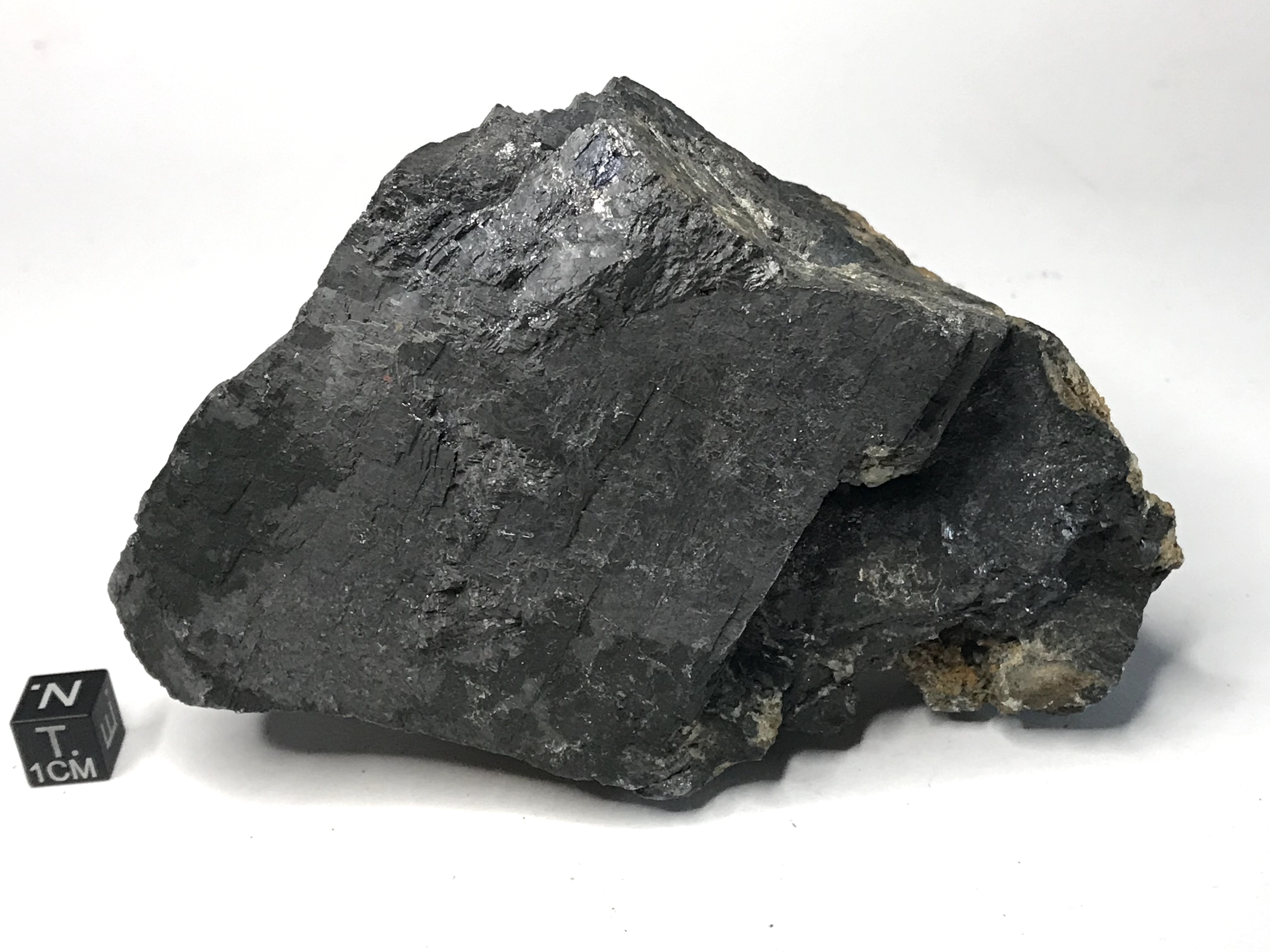 Galena argentifera (esemplare)