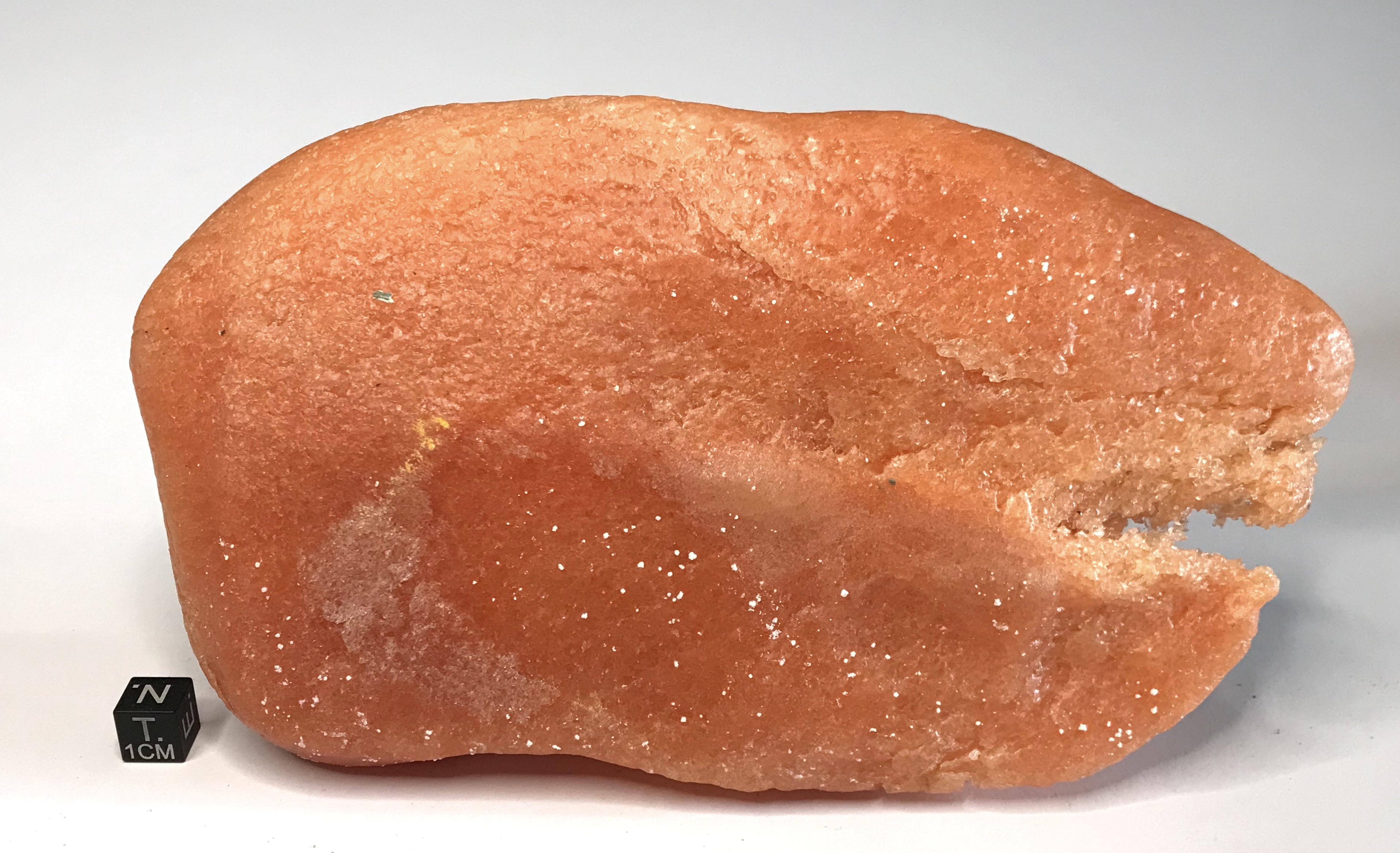 Salgemma rossastro (esemplare)