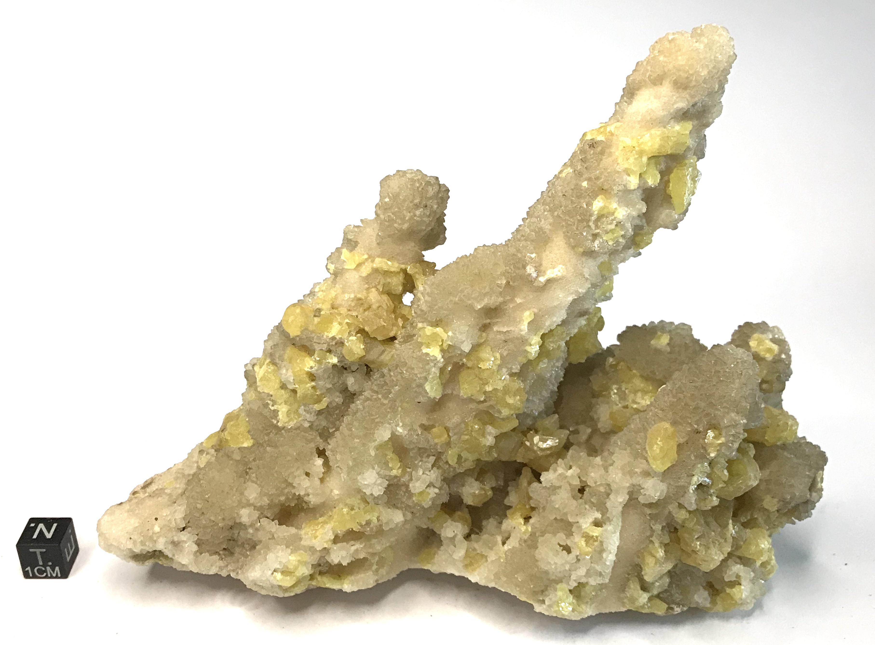 Zolfo sul calcare saccaroide (esemplare)