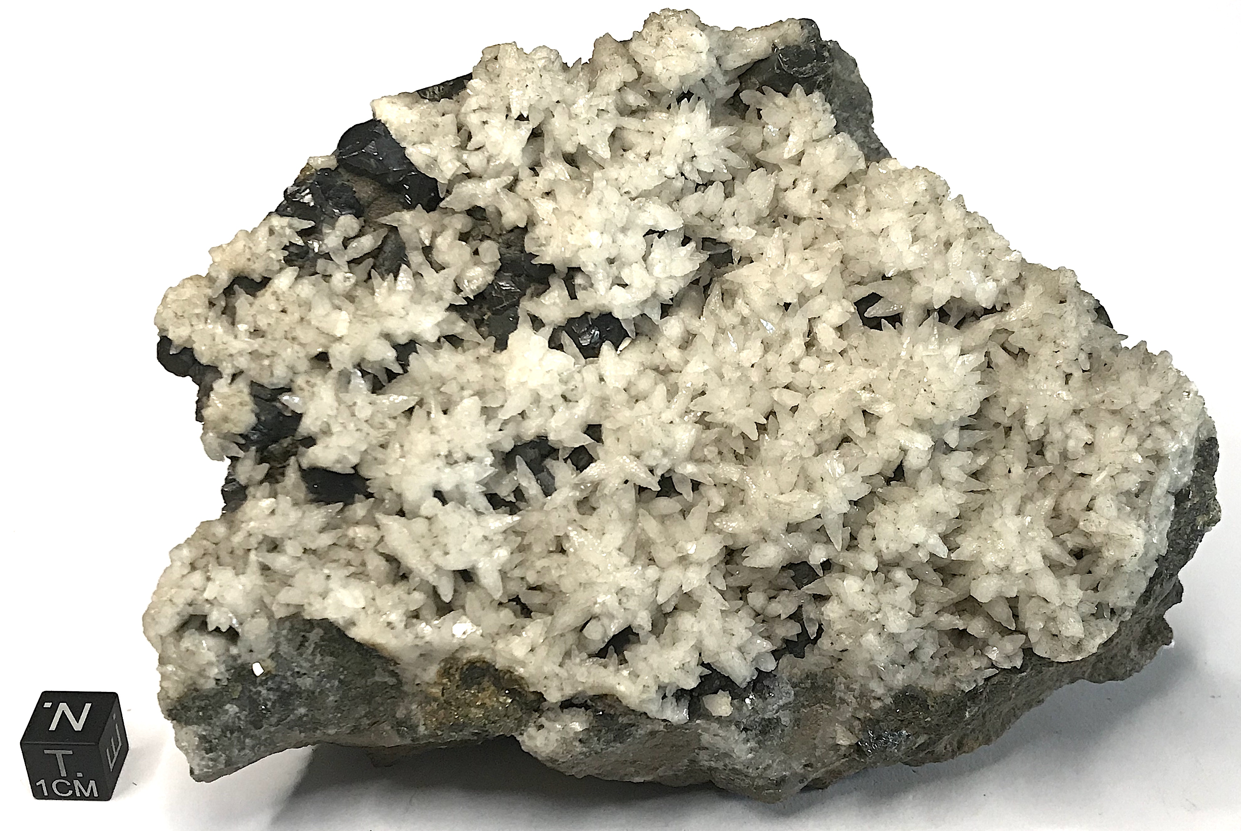 Calcite in cristalli dodecaedro pentagonali (scalenoidi) (esemplare)