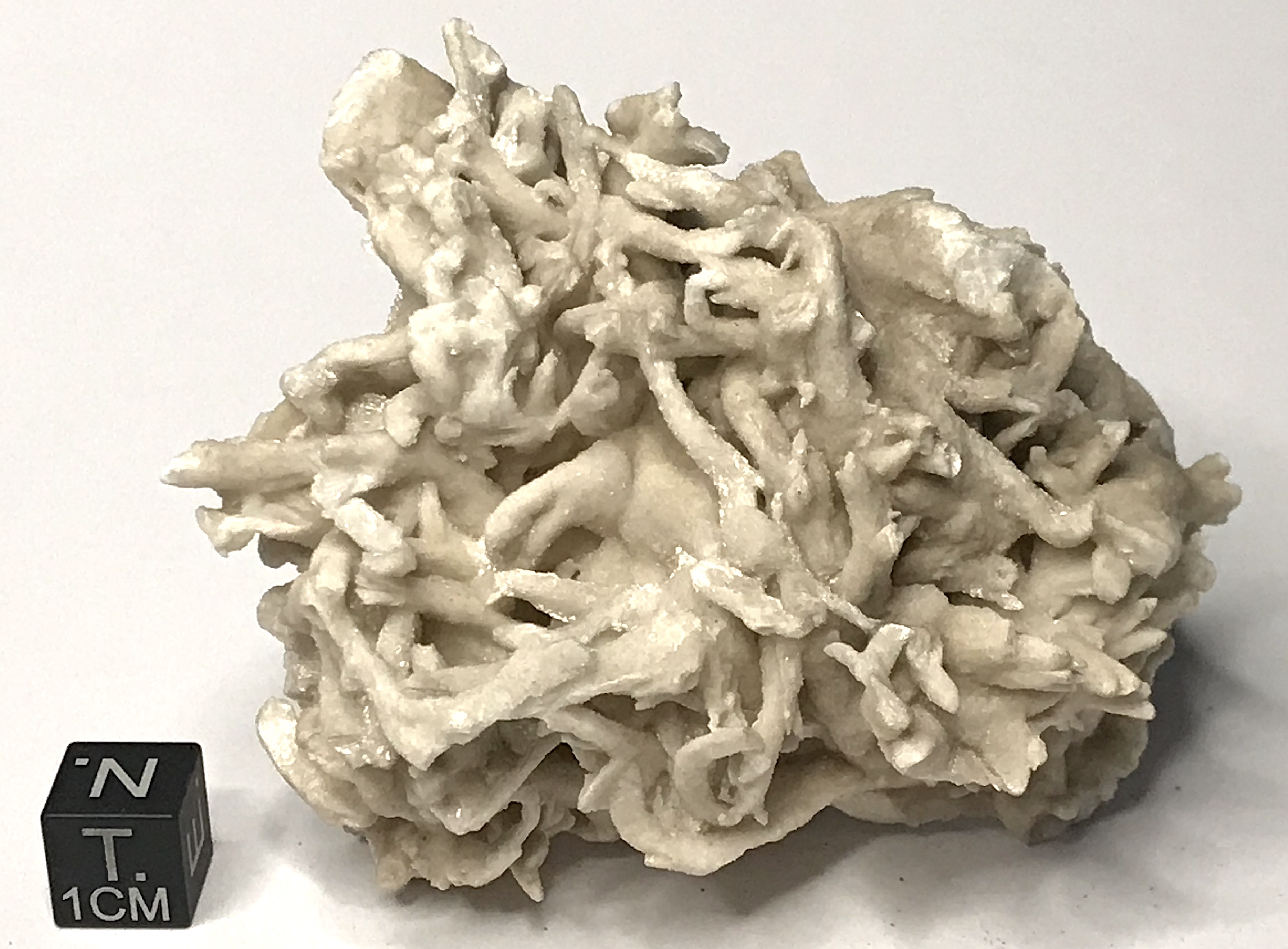 Aragonite coralloide (esemplare)