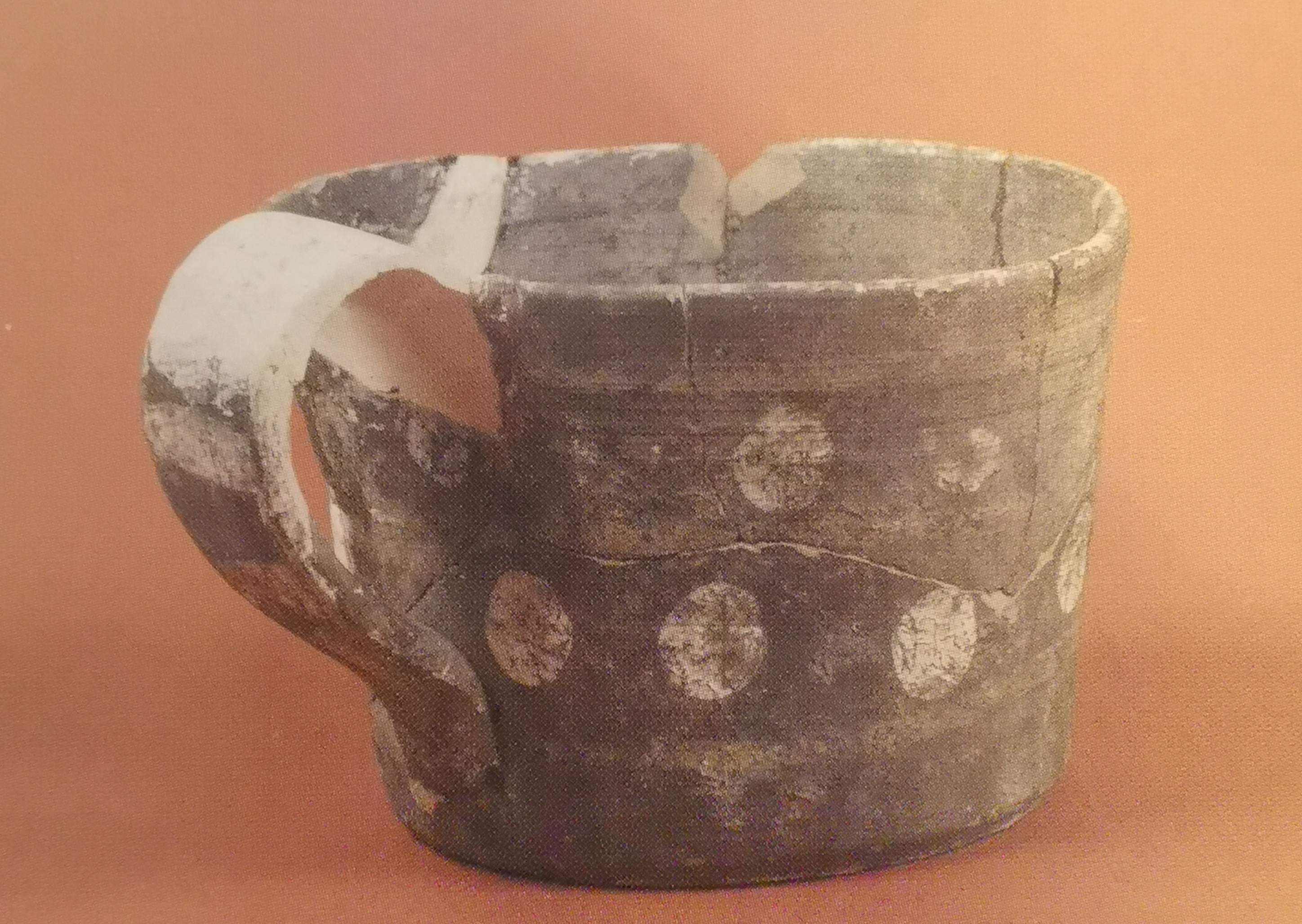 tazza (PERIODIZZAZIONI/ PROTOSTORIA/ Età del Bronzo/ Età del Bronzo medio)